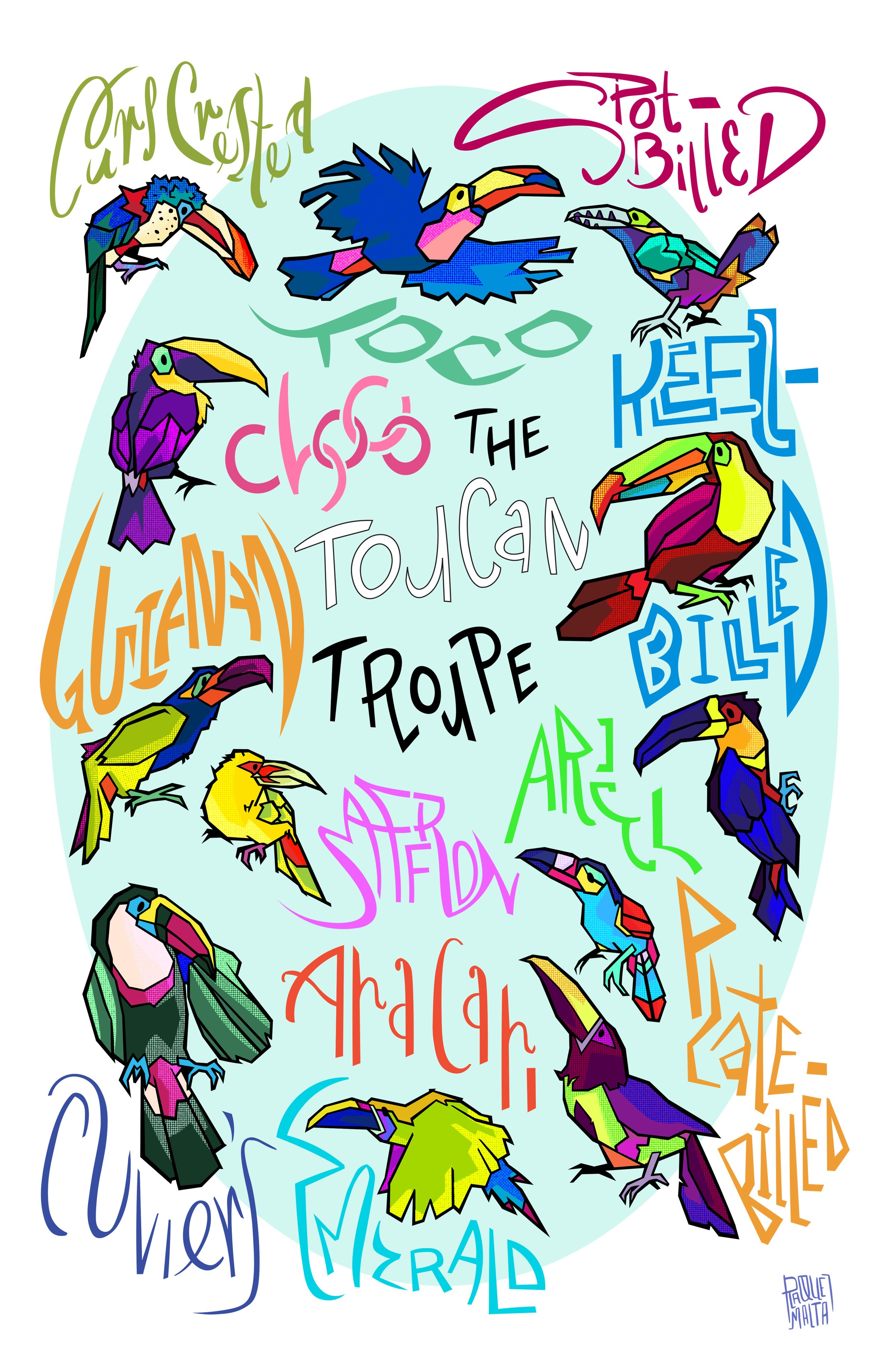 The Toucan Troupe Poster