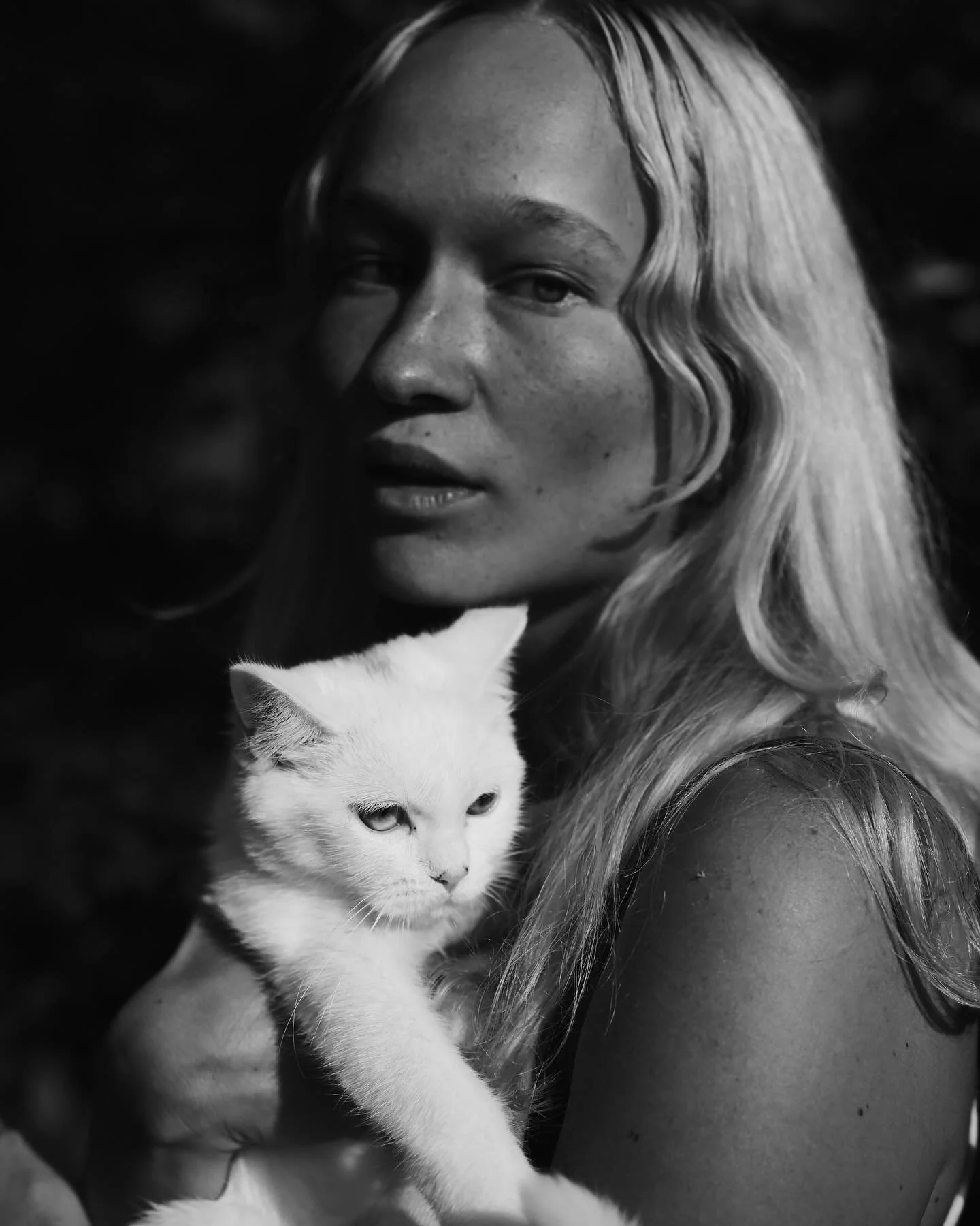 Shot Mia &amp; Bambi today 🤍