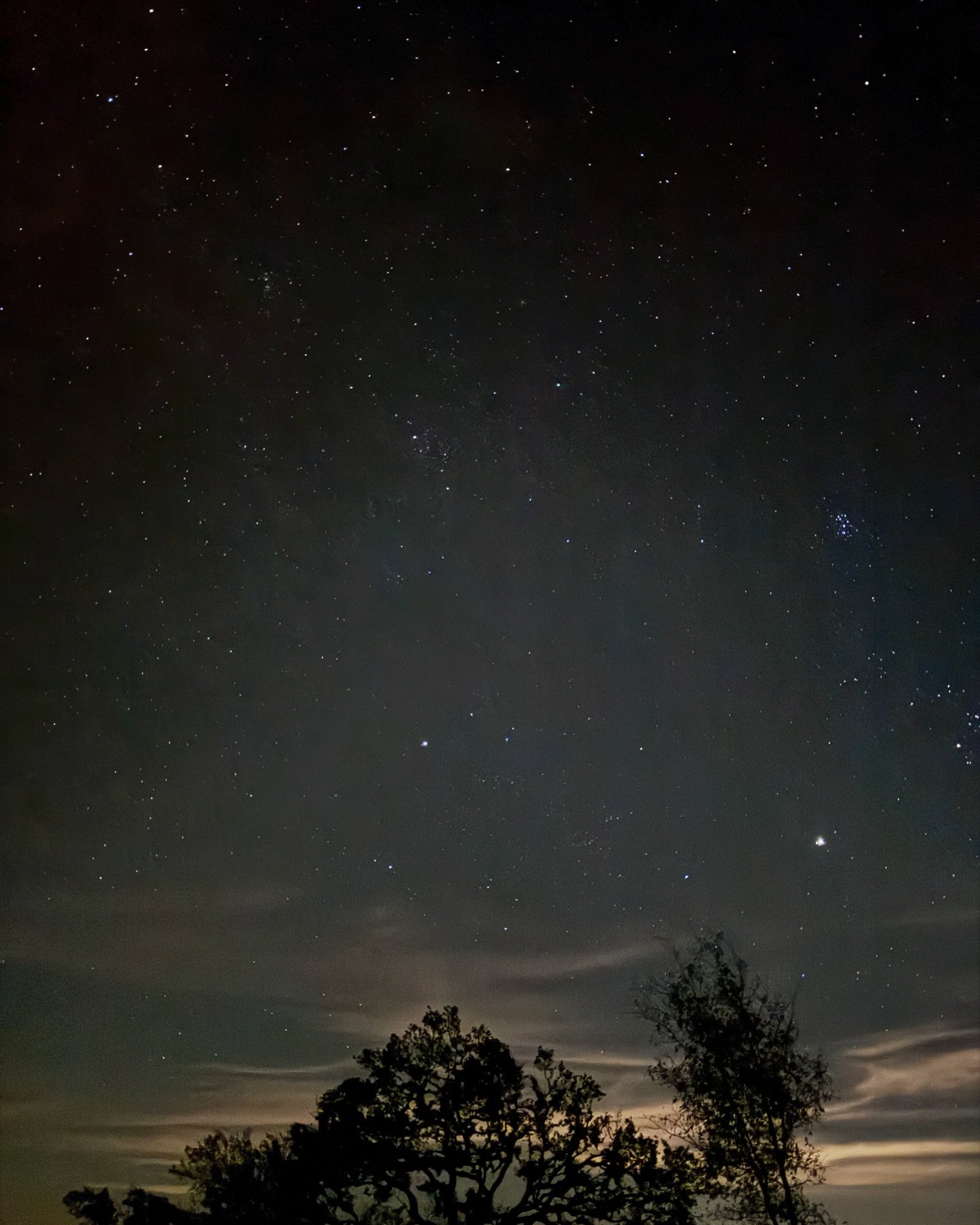 You will love this magnificent night sky with no light pollution at @themartinsburg .

Remember the joy of lying out under the night sky as a kid? It turns out stargazing isn&rsquo;t just for fun&mdash;there are wellness benefits, too. Looking at the