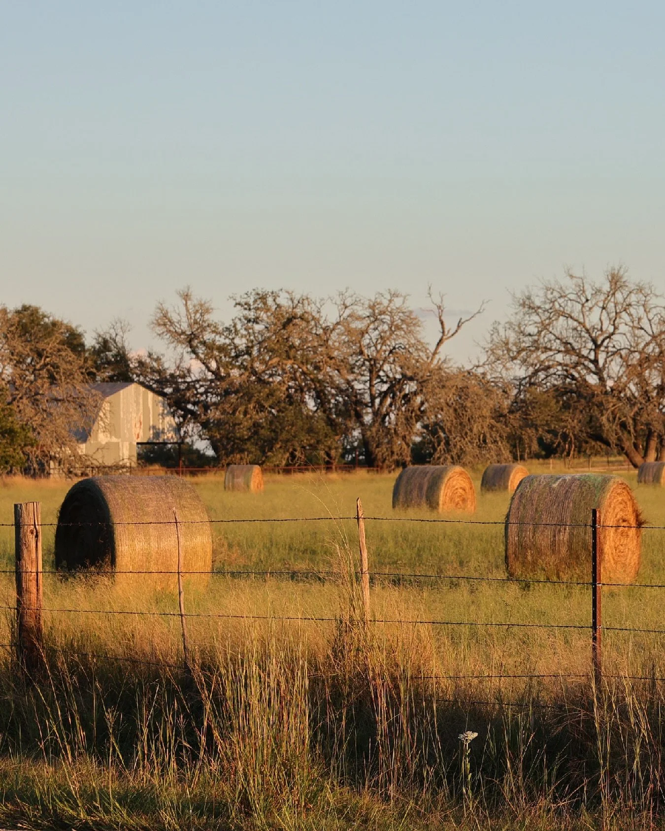 Neighborhood appreciation post. Beautiful Hill Country vibes, right outside our entrance. 

📷 @c_renniw 

#hillcountry #martinsburgmoments #texaswinecountry #hillcountryvibes #hillcountrygetaway #naturephotography