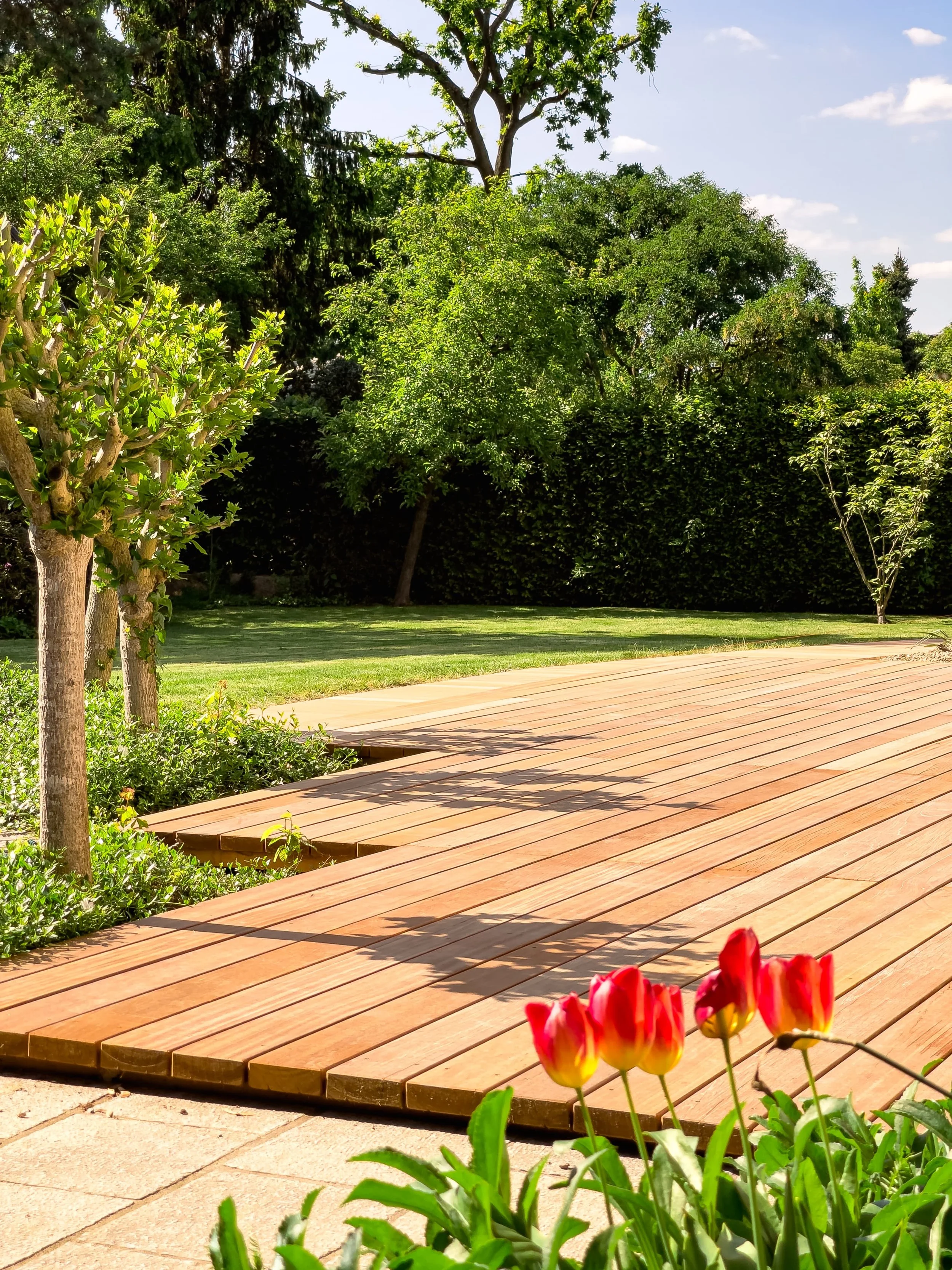 Ein sonniger Garten mit grünen Bäumen, einem holzbelagerten Weg und roten Tulpen im Vordergrund.