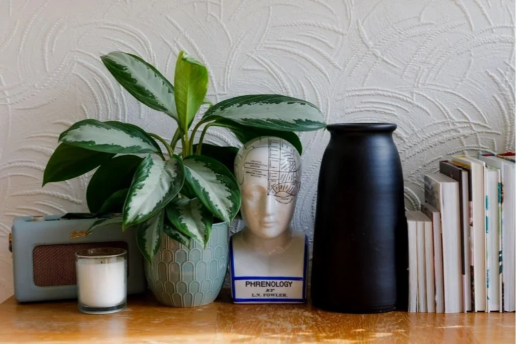 Professional counselling and mental health support