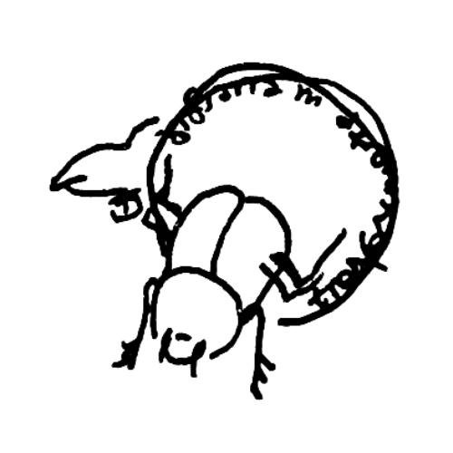 Il logo