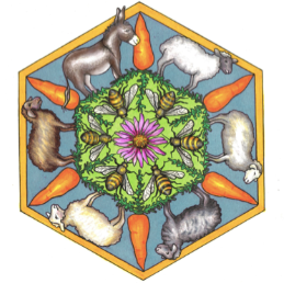 Mettabee Farm and Arts
