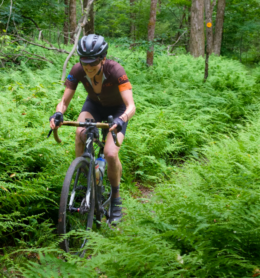 Lichen Bike Tours
