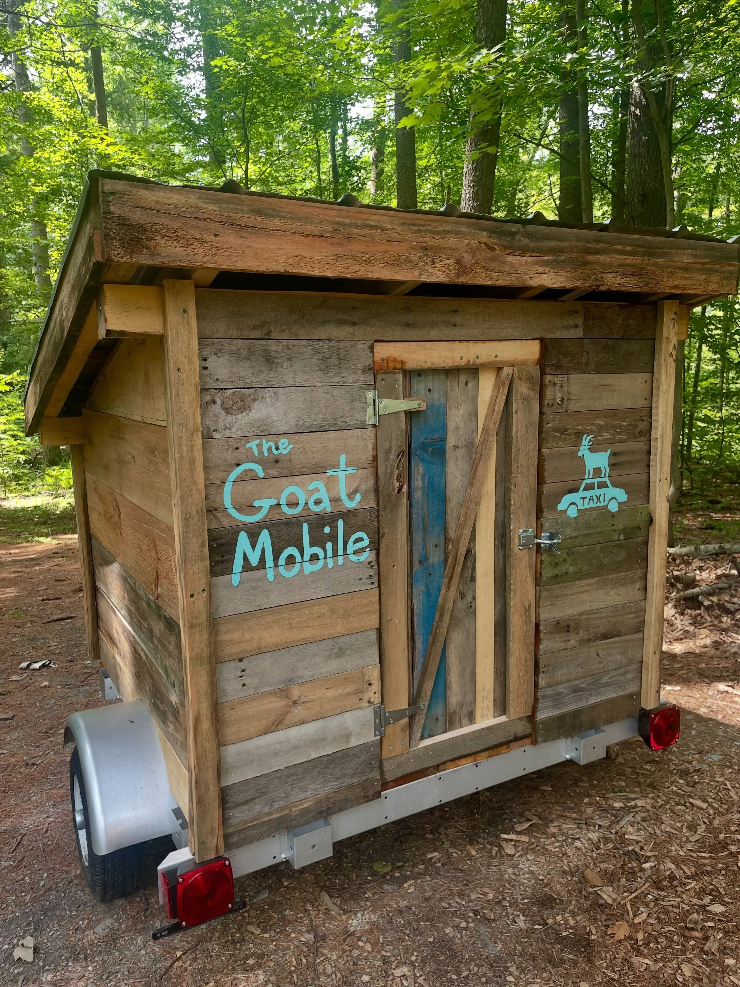 I made a Goat Mobile! The goats were slowly dismembering the Honda Element I was transporting them back and forth (from house to studio) in, so I took the time to build them a proper mini transport that my truck can tow! All the lumber and even roofi