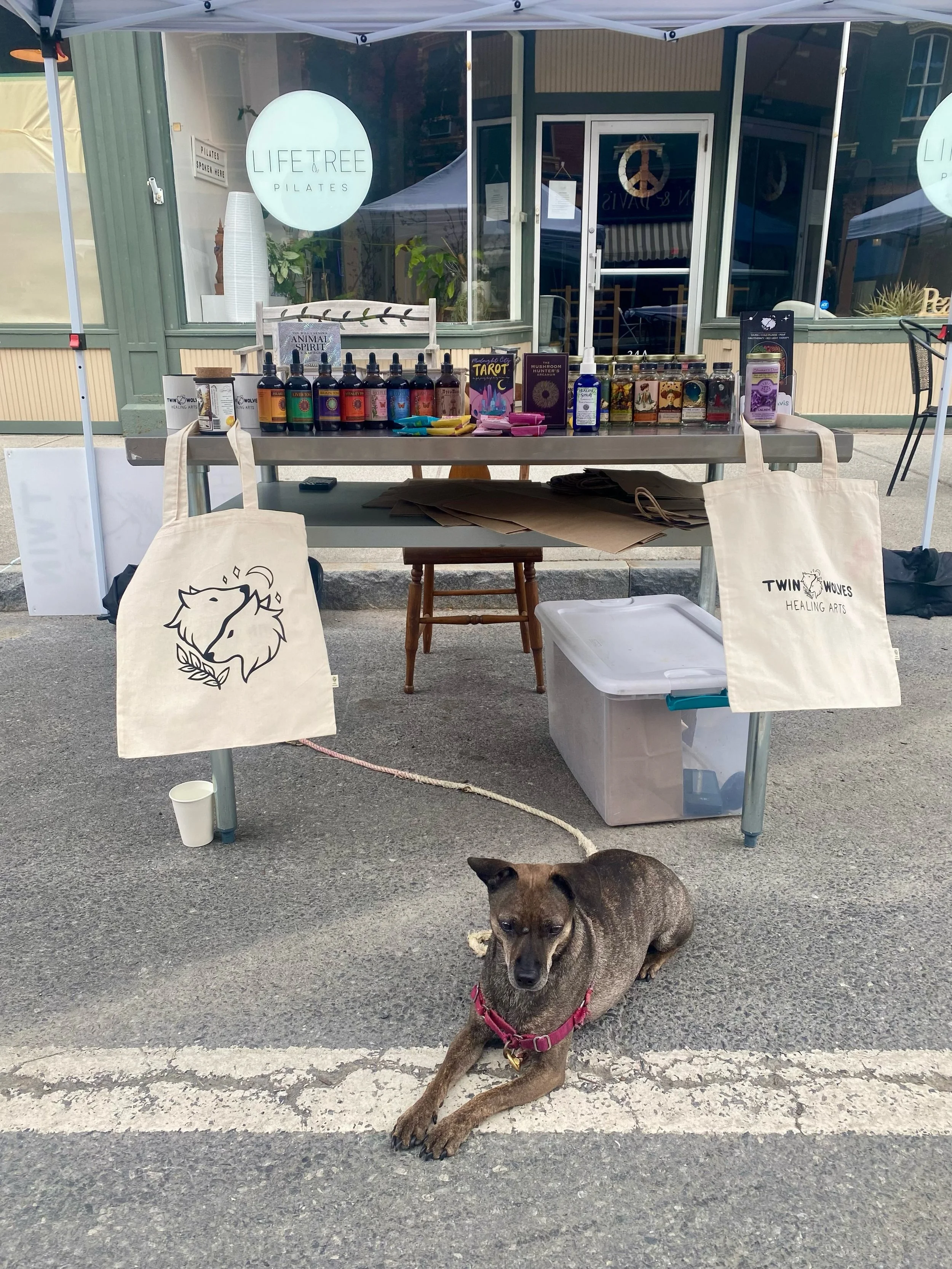 Bean has the tent all set up here at Chatham Summerfest! @visitchathamny