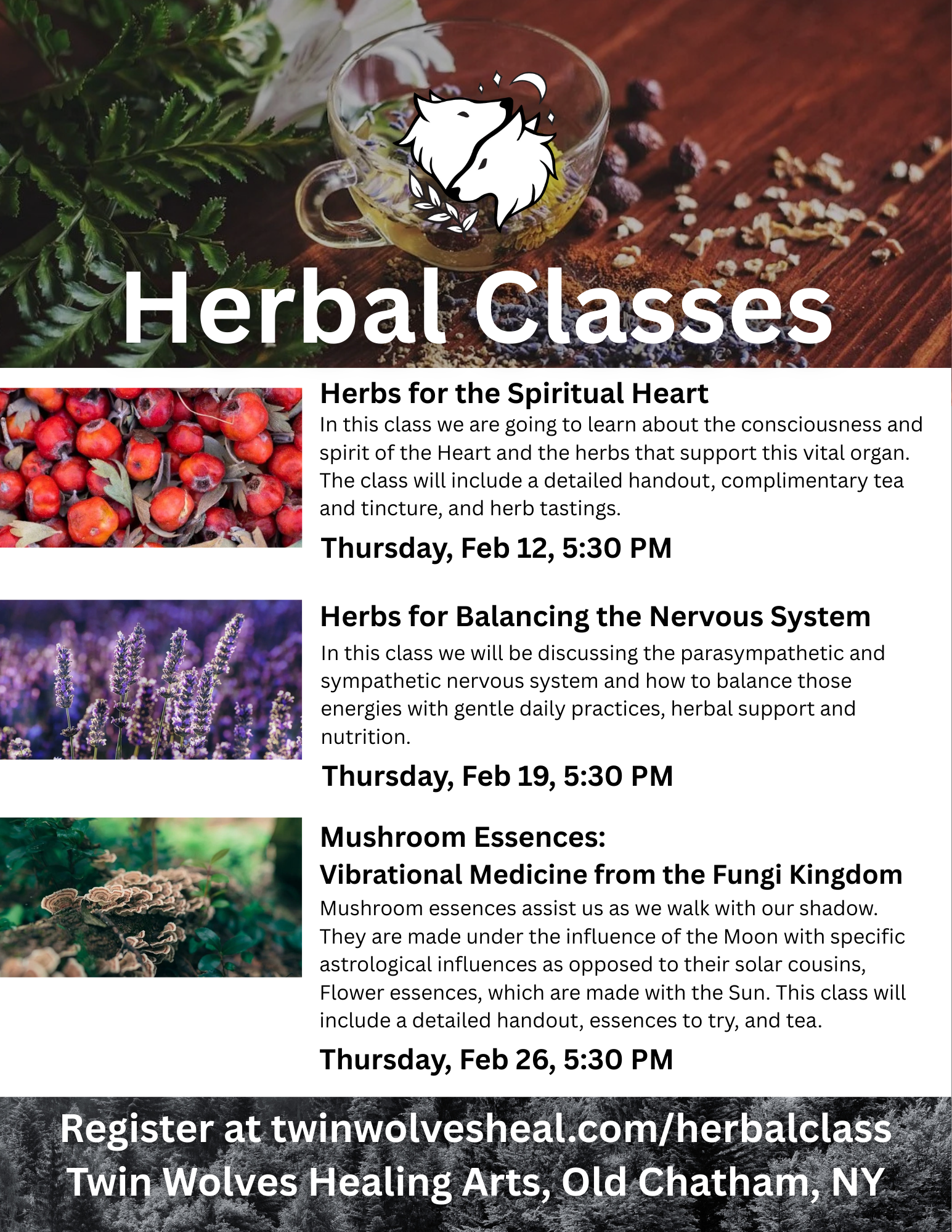 Herbal Class 1