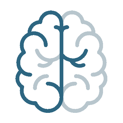 Illustration of a brain with highlighted hemispheres, symbolising creativity and open-minded exploration.