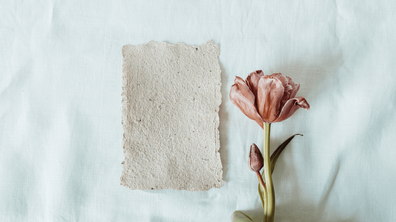 Soft tulip placed beside textured paper in gentle natural light, symbolising a shift from self-criticism to self-compassion.