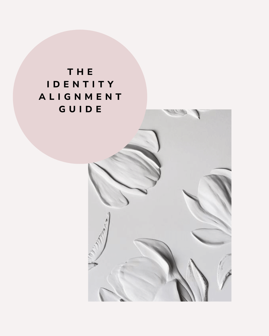 The Identity Alignment Guide