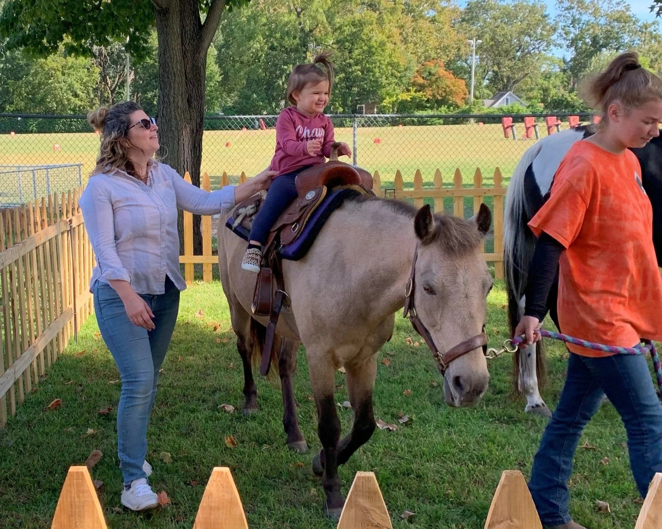 Pony Rides and Parties — PaintedBayFarm LLC