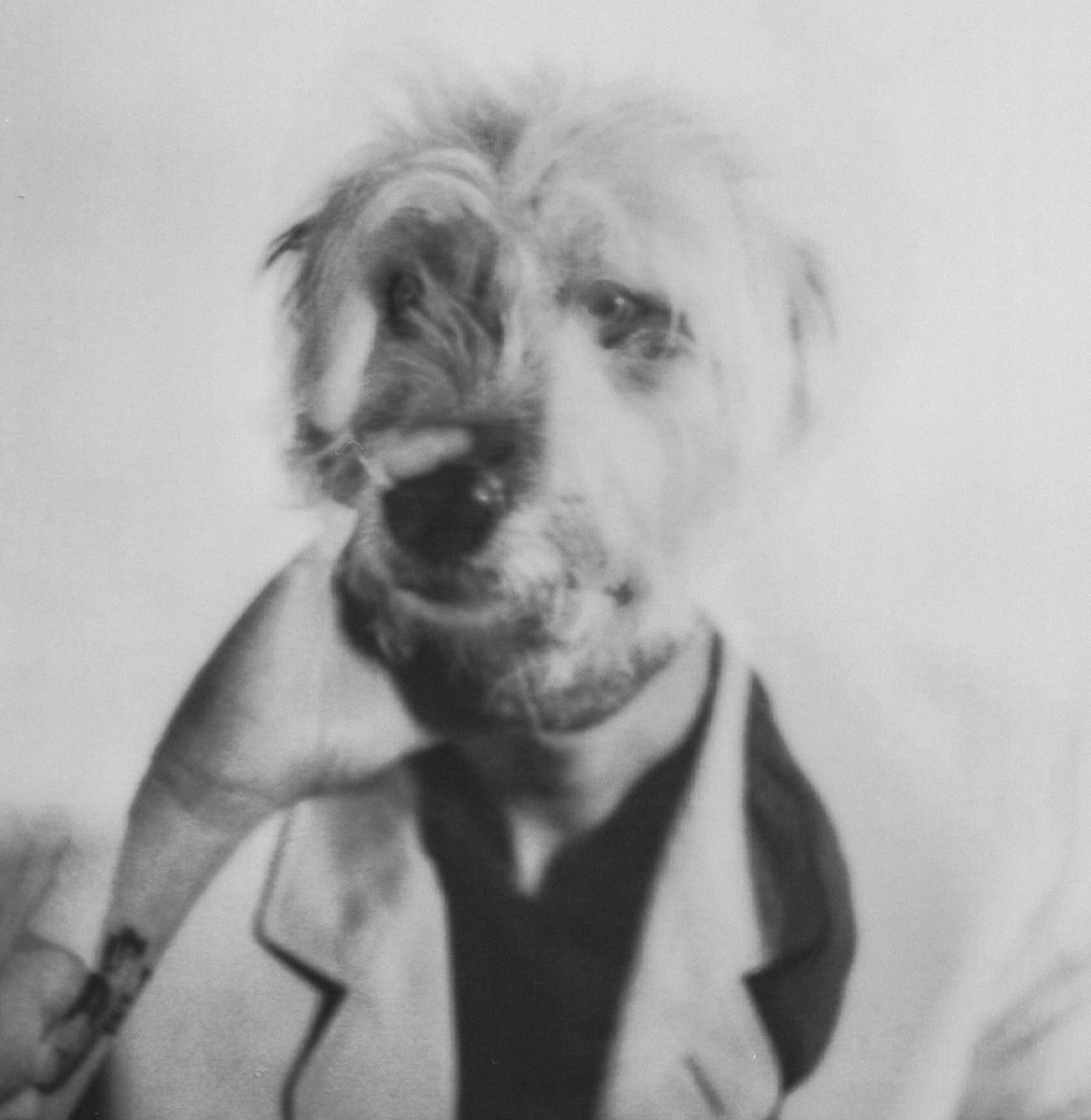 Shydog - The Bell Tolls // Recording