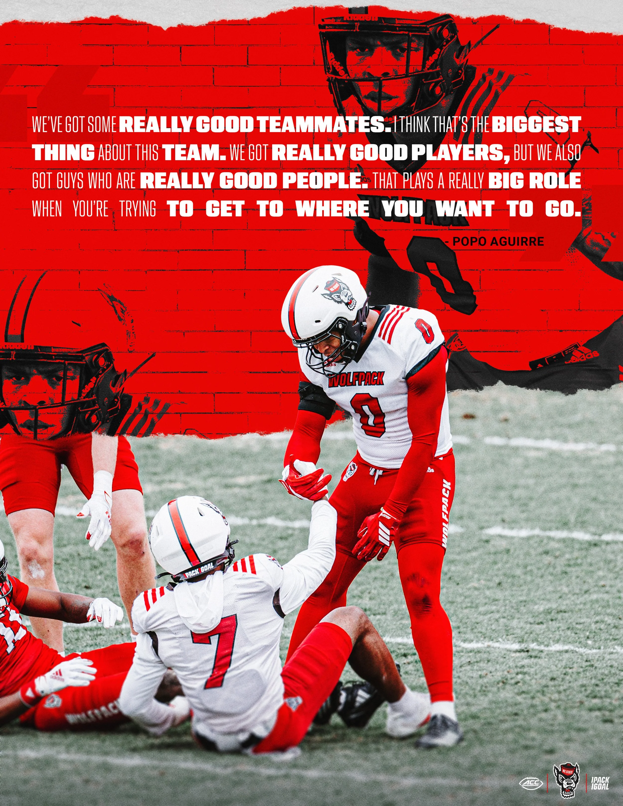 PopoTeamQuote.jpg