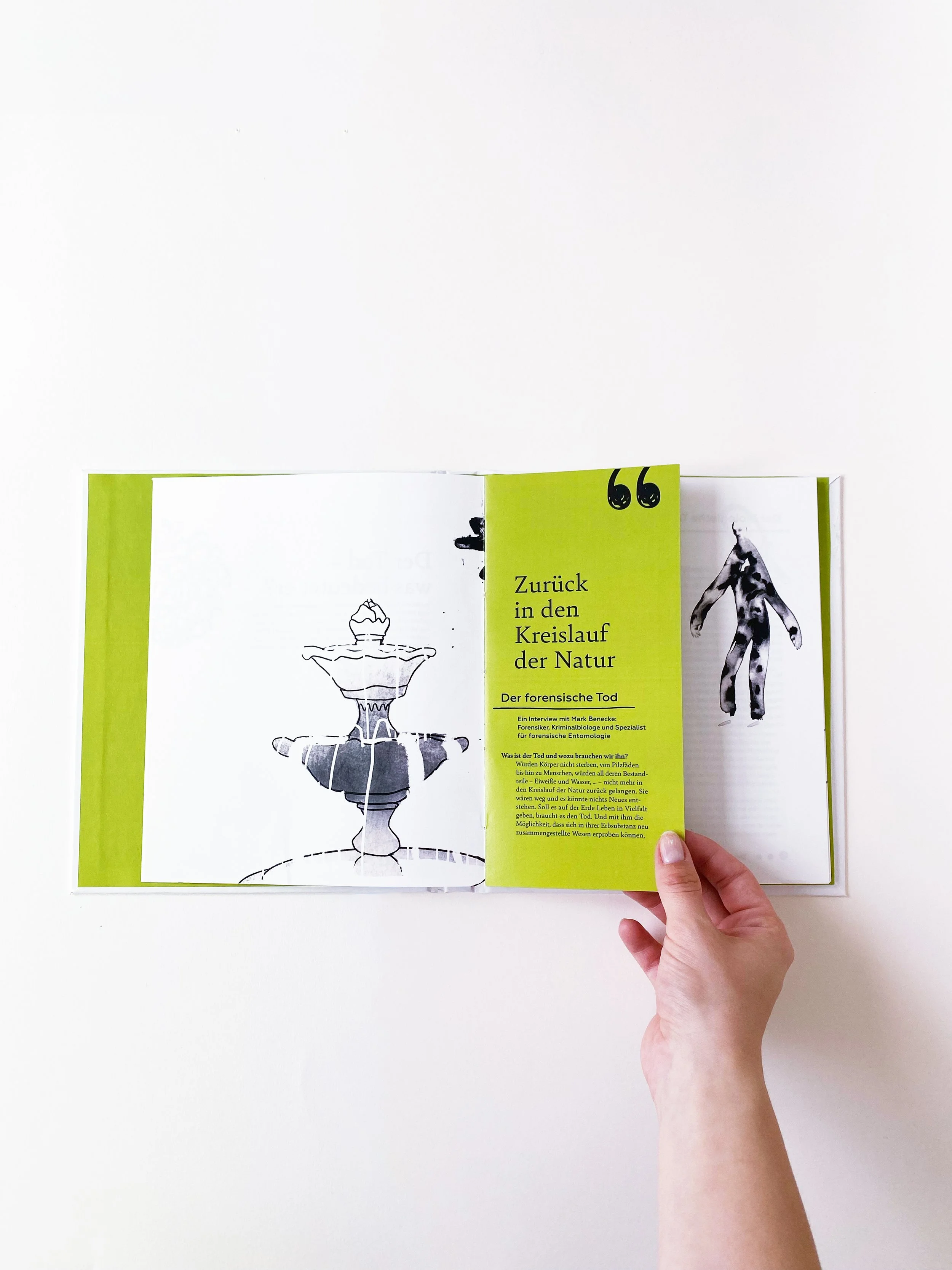 Publikationsdesign und Illustration