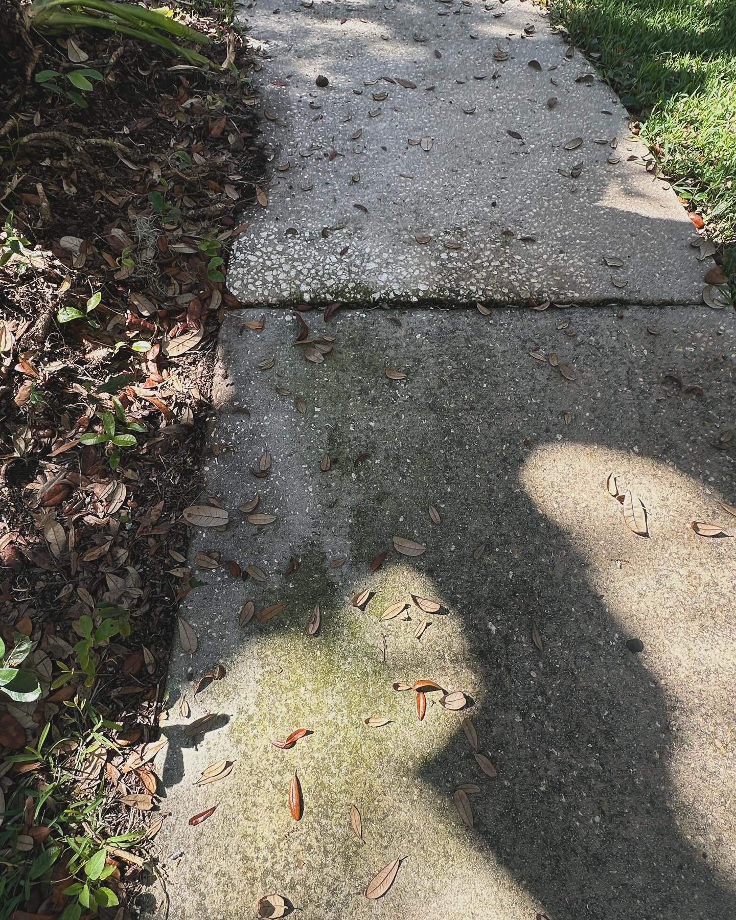 Here at Pinellas Soft Wash We take care of all exteriors from this Florida pollen covering your roof and stuffing up your nose to the algae growing from our famous Florida weather!  Make sure you come by our web page @ www.pinellassoftwash.org or www