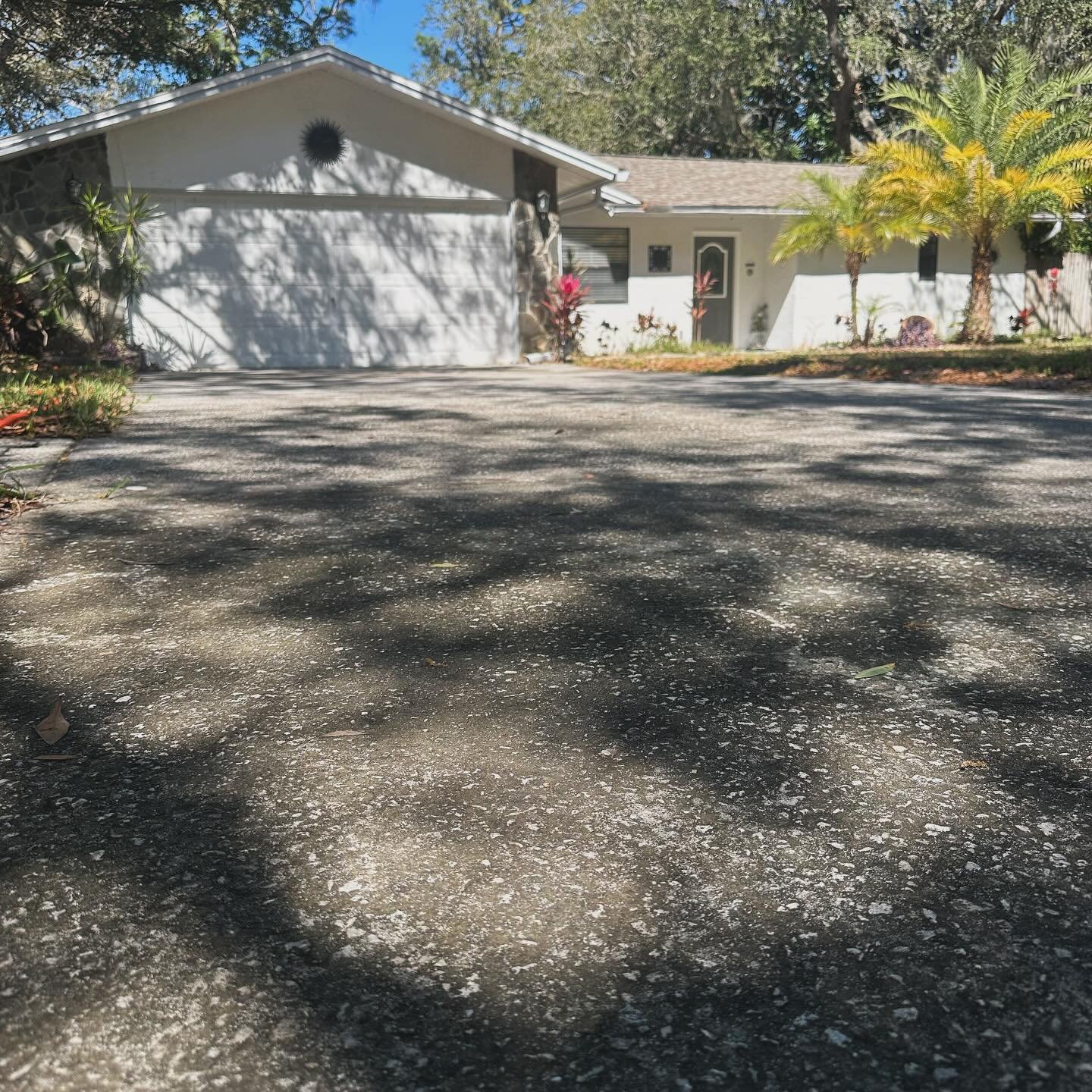 Pinellas Soft Wash LLC new business we give free quotes and have great prices, if you need side walks, driveways, house walls, roofs and more. If you&rsquo;ve been considering getting a pressure washing or soft washing job done give us a call at 727-