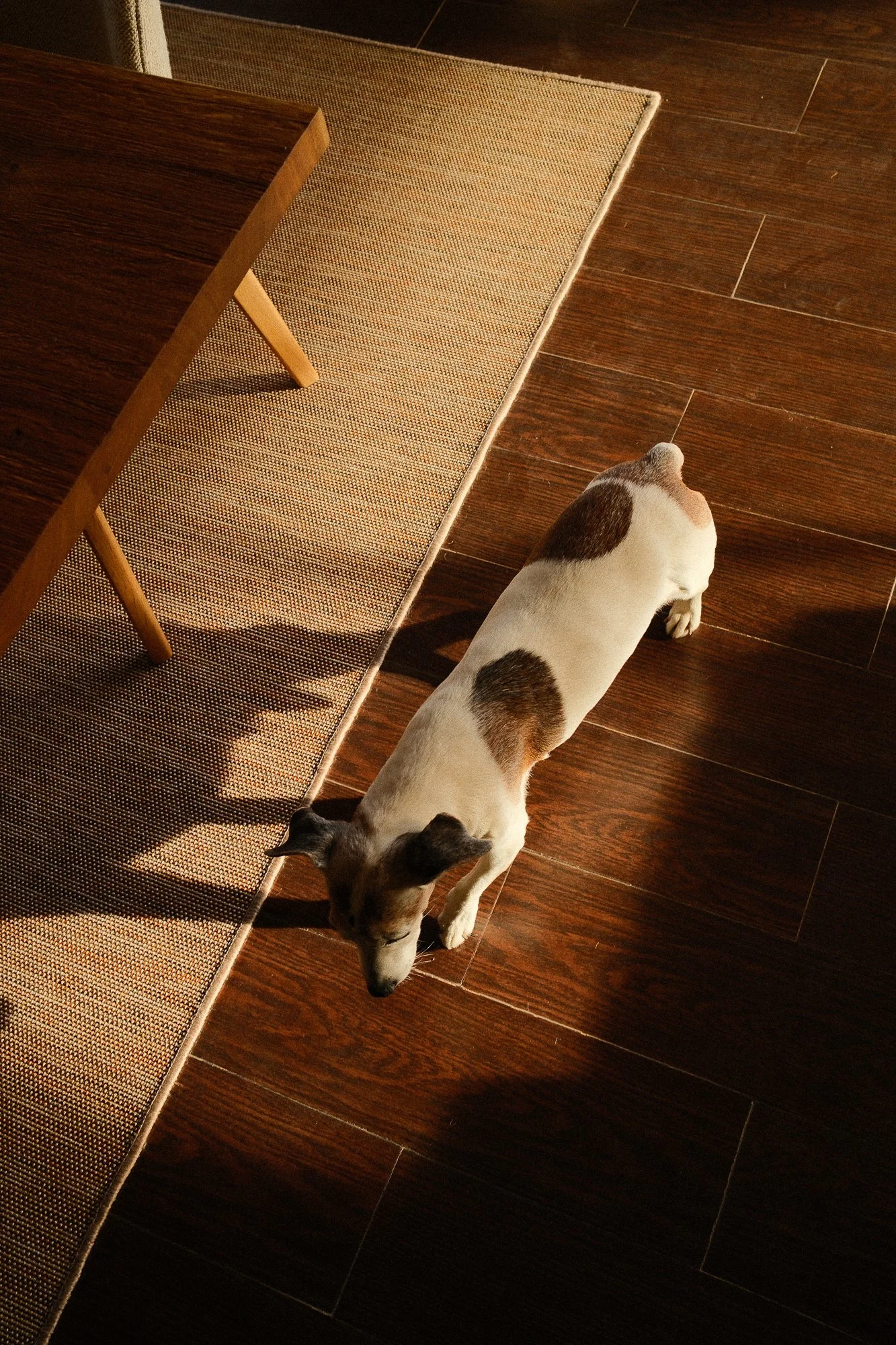 Architectural & Real Estate Photographer
