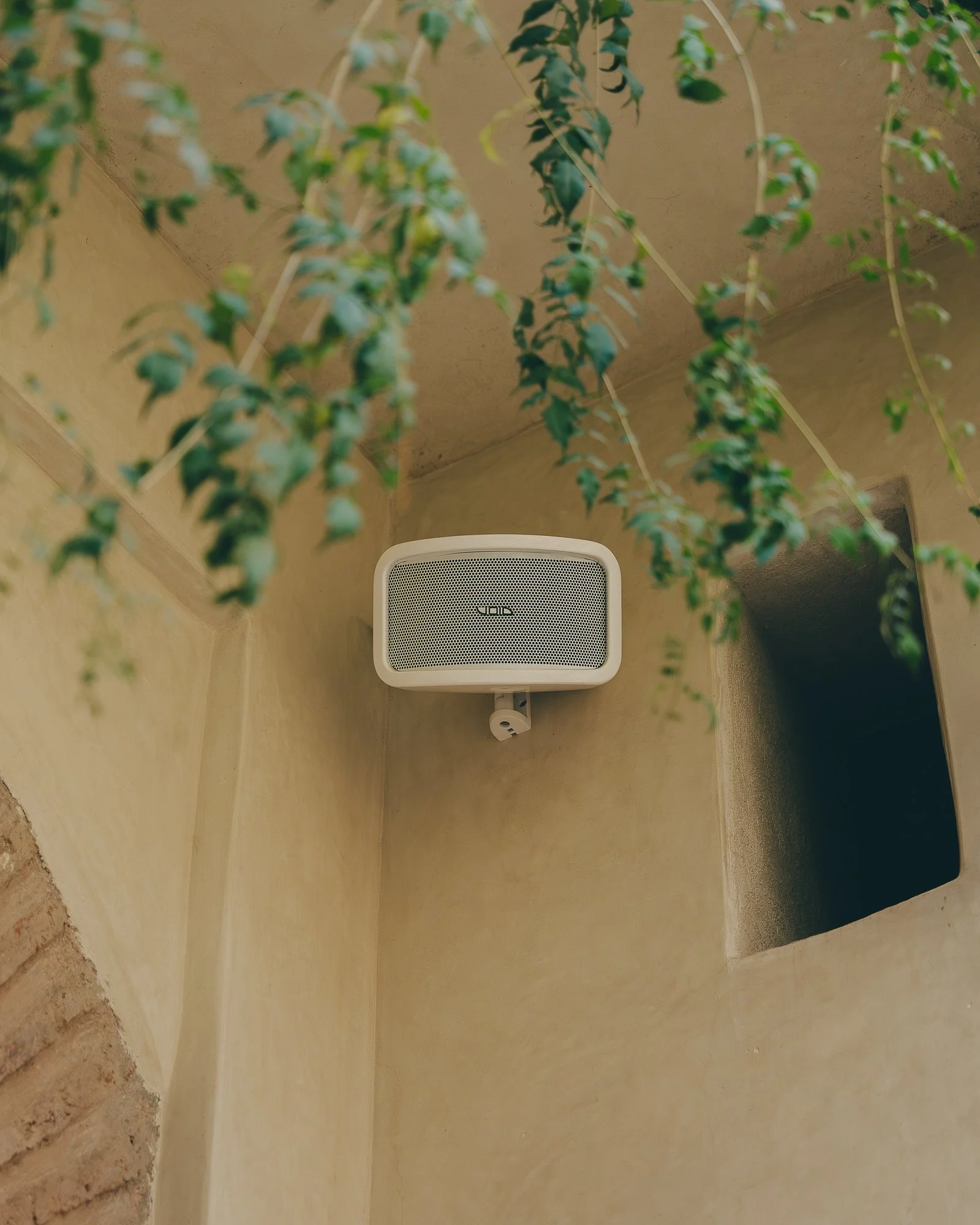 A white speaker mounted on a beige stucco wall, with green hanging plants partially covering the top of the image and a small window to the right.
