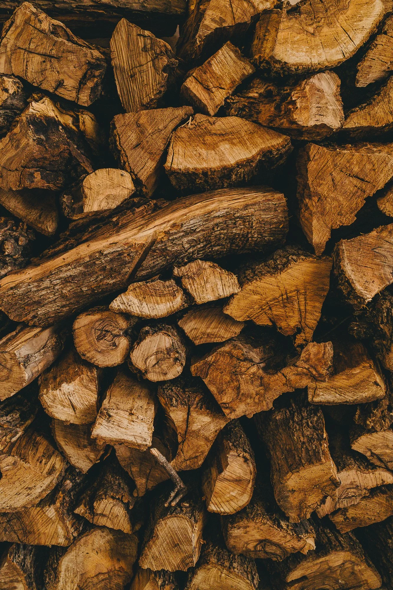 Stacked firewood logs with rough bark and cut ends.