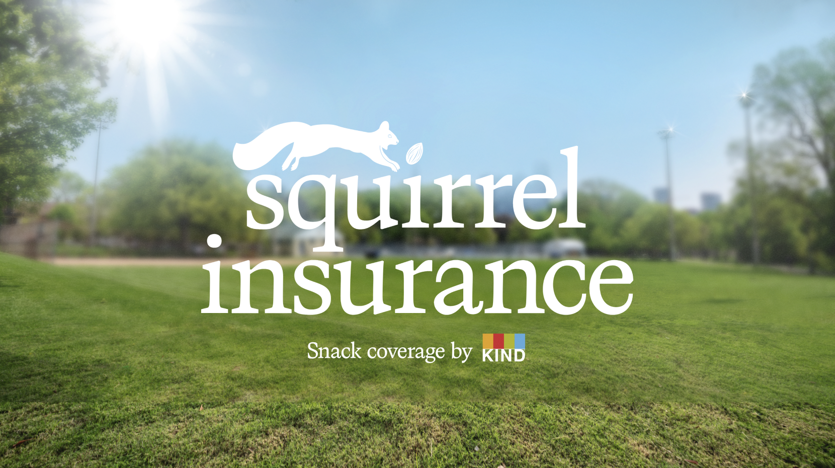 Squirrel Insurance