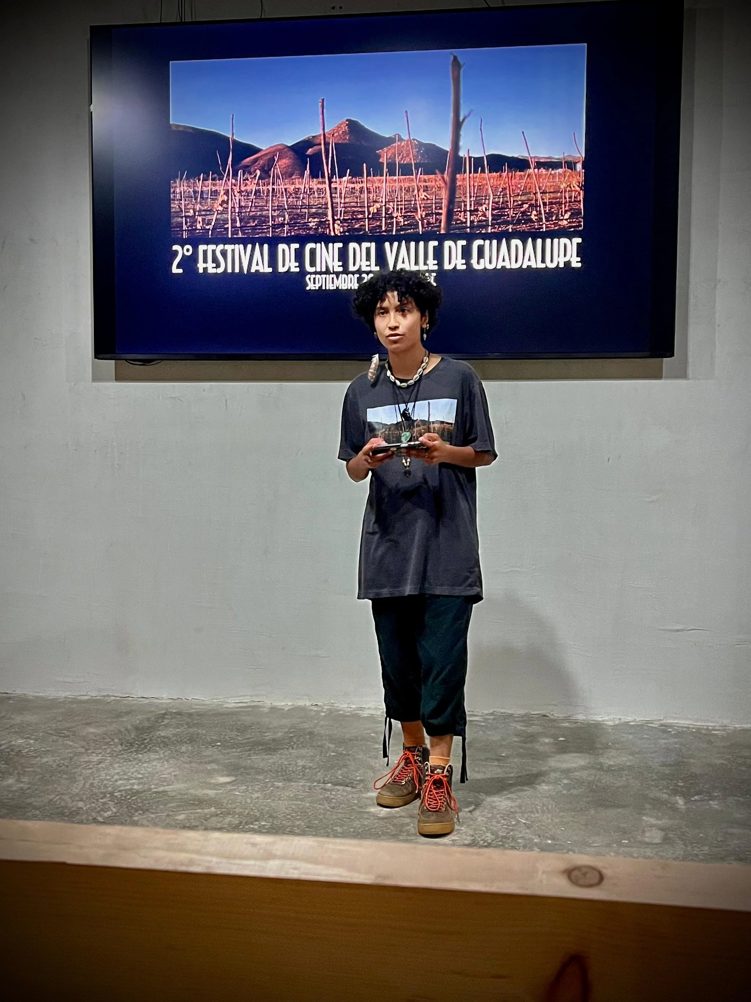Festival de Cine del Valle de Guadalupe® 2025-10-08 at 14.18.07.jpeg