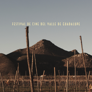 Valle de Guadalupe Film Festival LLC