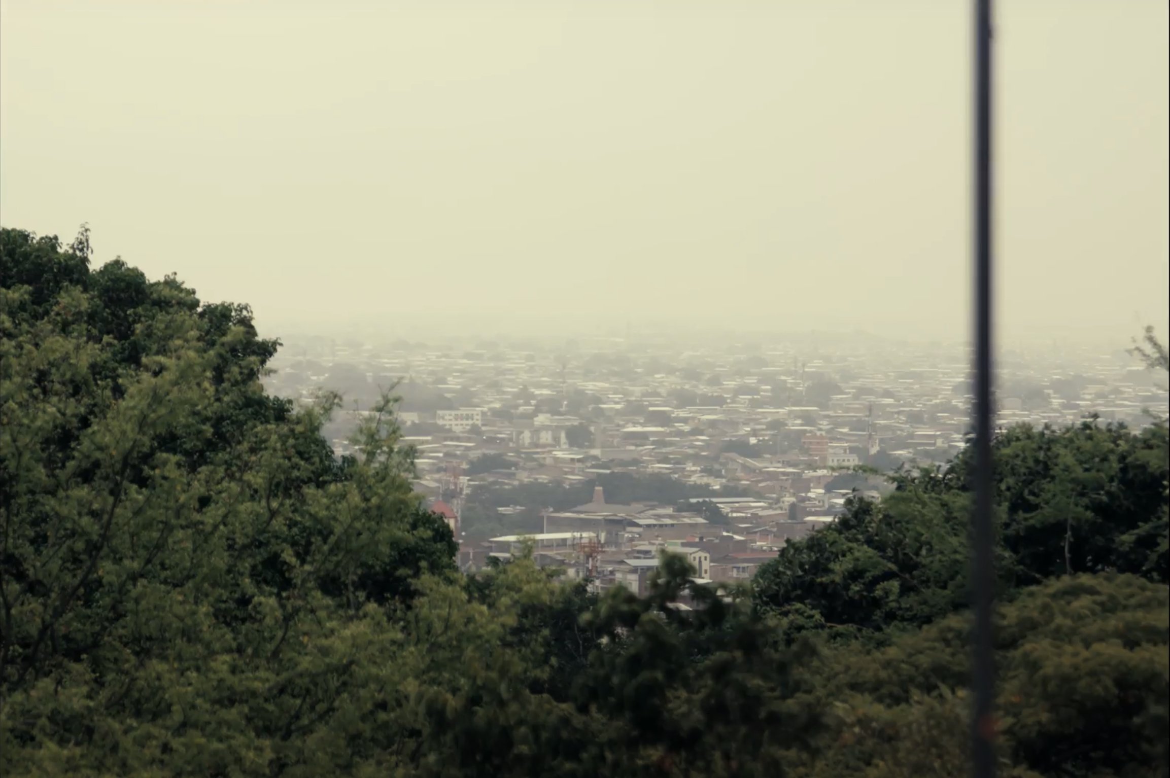IMG_9286.jpeg