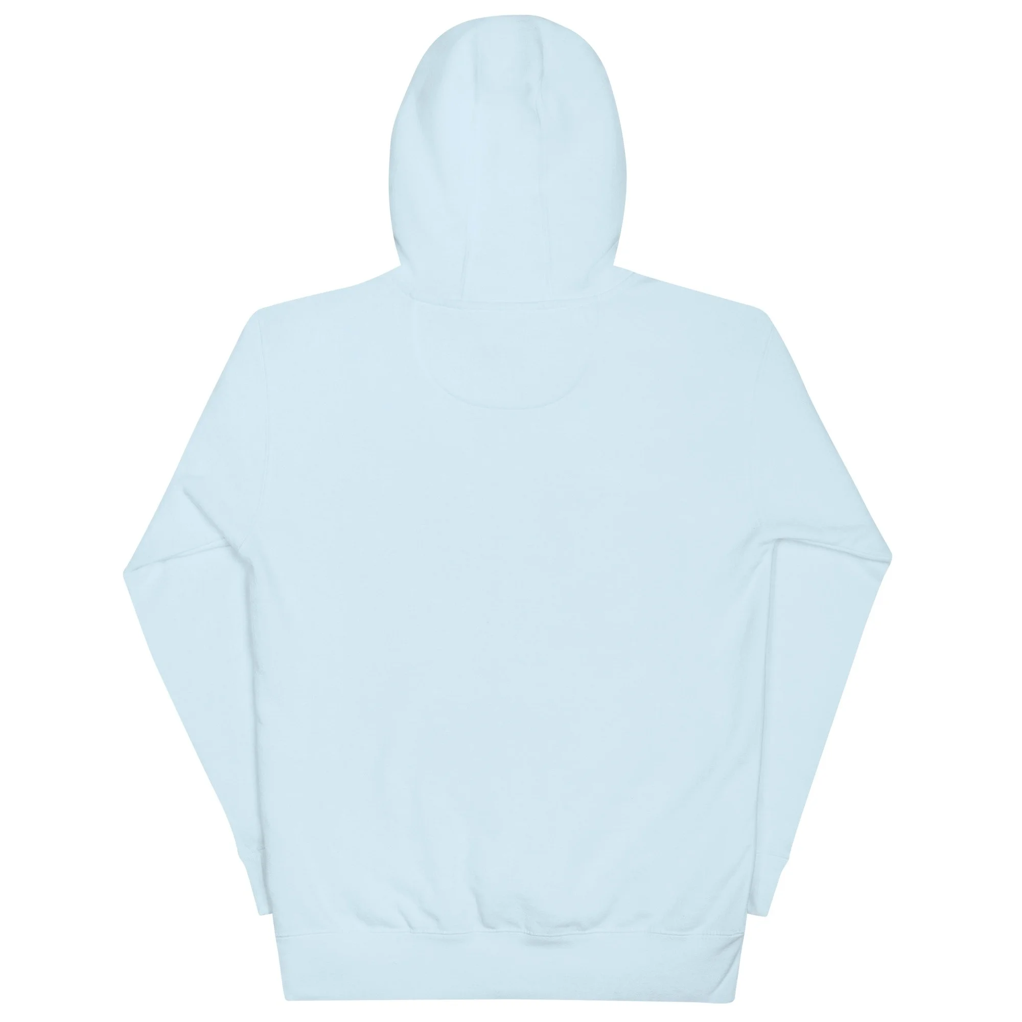 unisex-premium-hoodie-sky-blue-back-677b3cf39e77c.jpg
