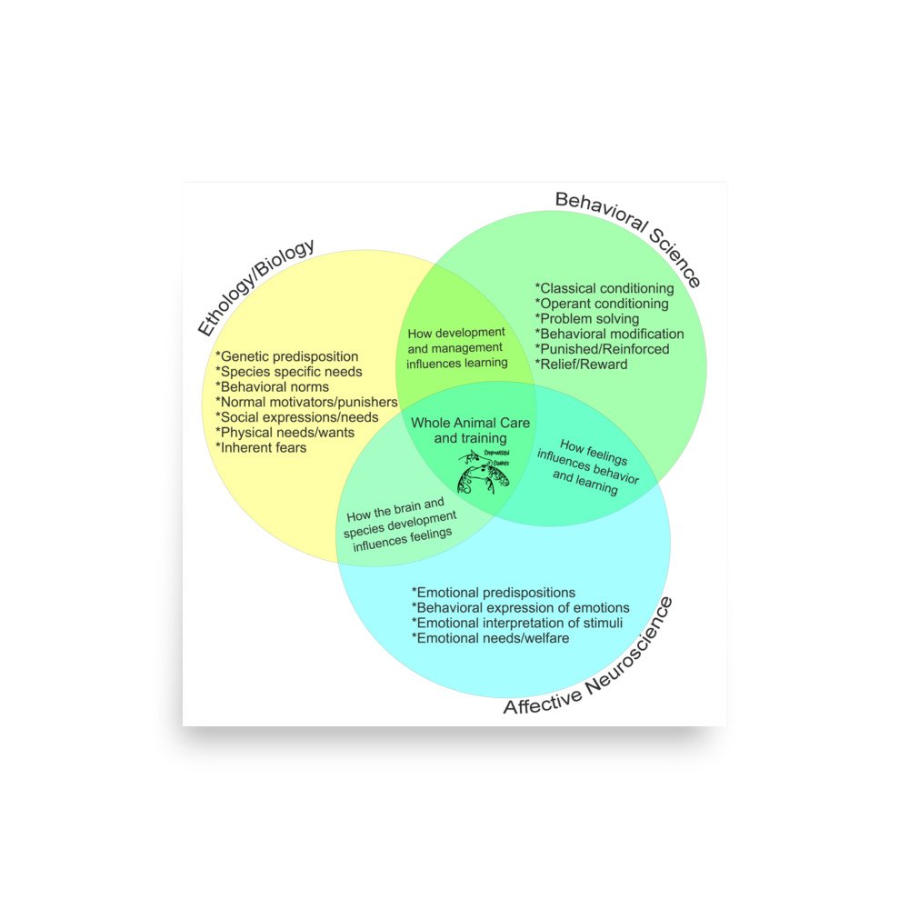 enhanced-matte-paper-poster-(in)-10x10-front-677c954c5fccf.jpg