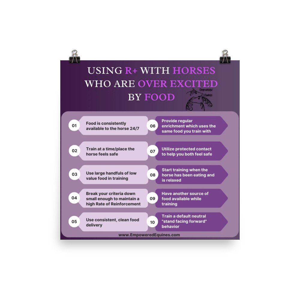 enhanced-matte-paper-poster-(in)-16x16-transparent-677dc86542630.jpg