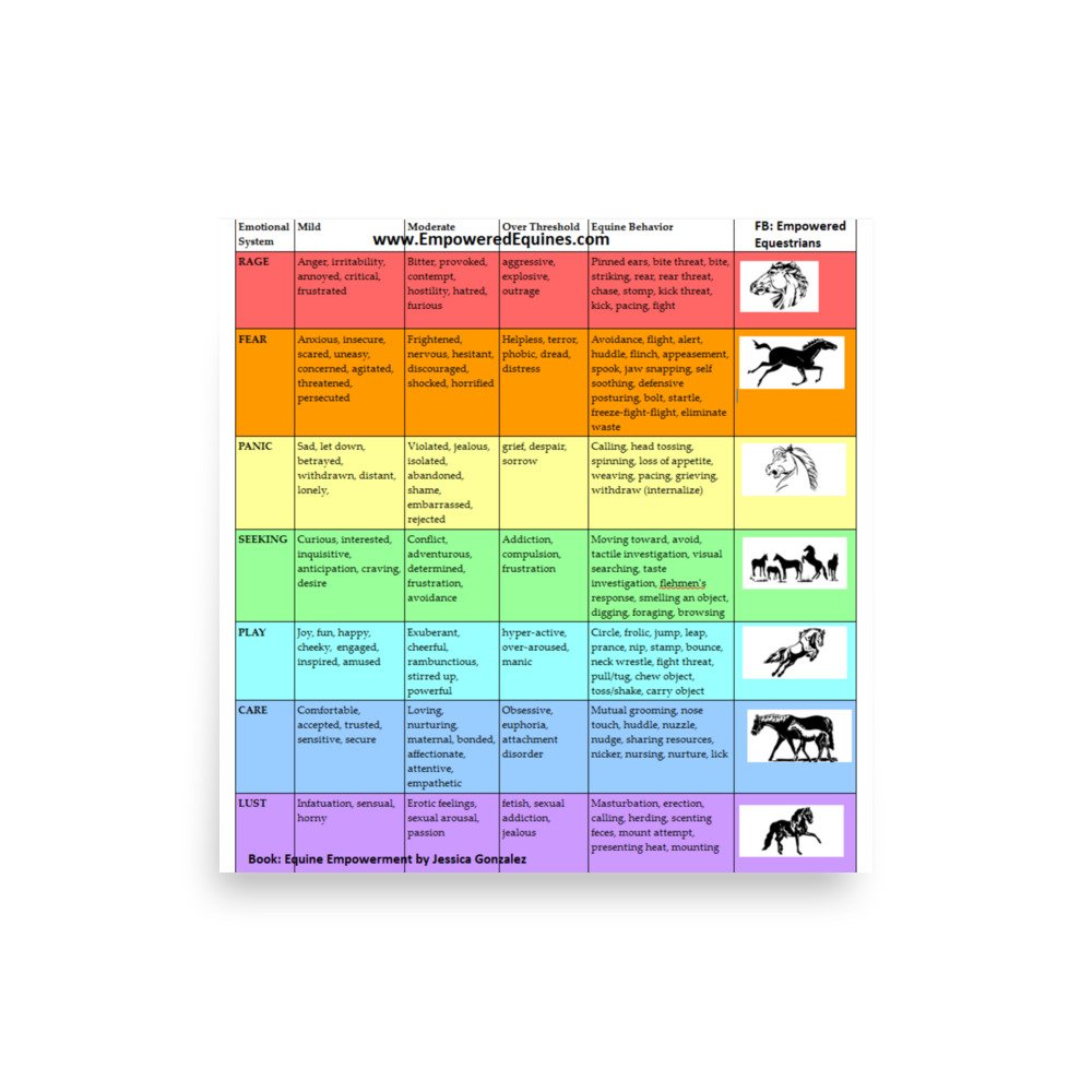 enhanced-matte-paper-poster-(in)-10x10-front-677dc8c4c6c27.jpg