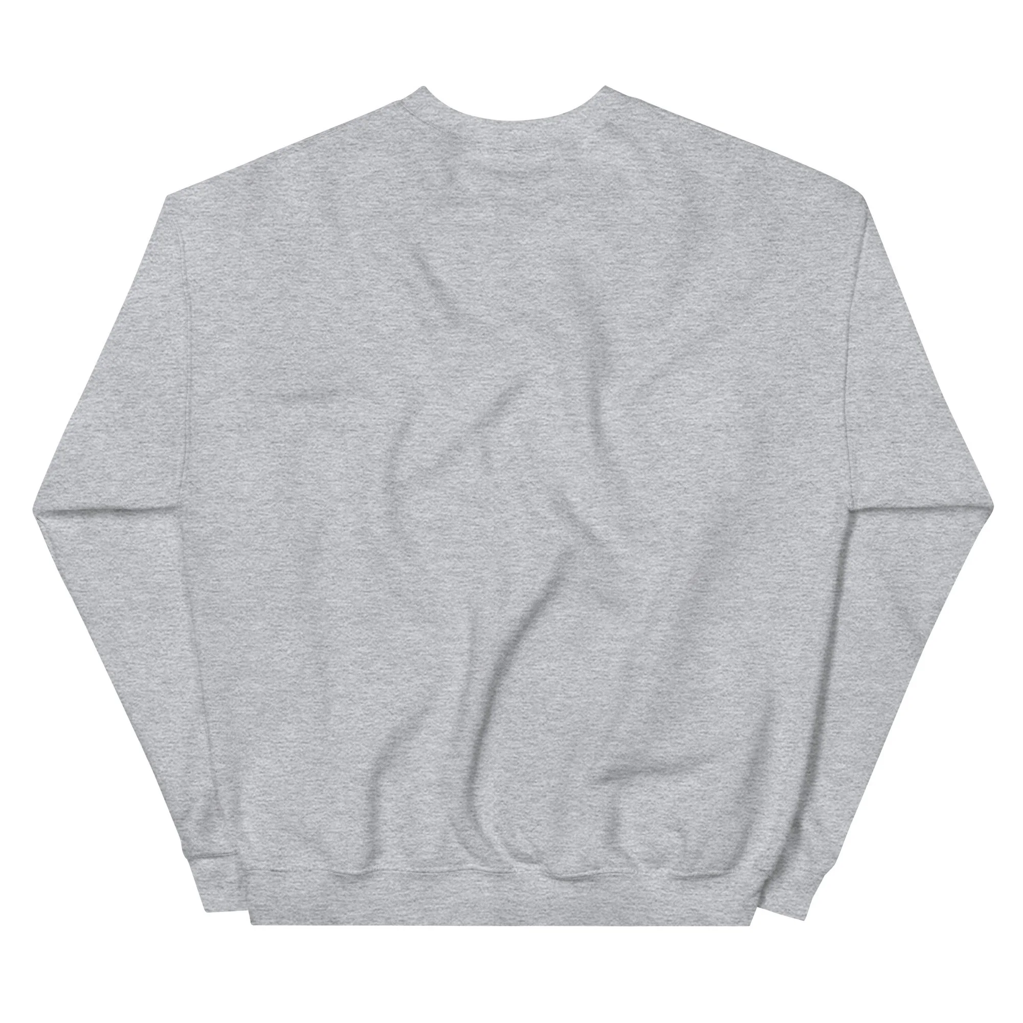 unisex-crew-neck-sweatshirt-sport-grey-back-678063eb1edf6.jpg