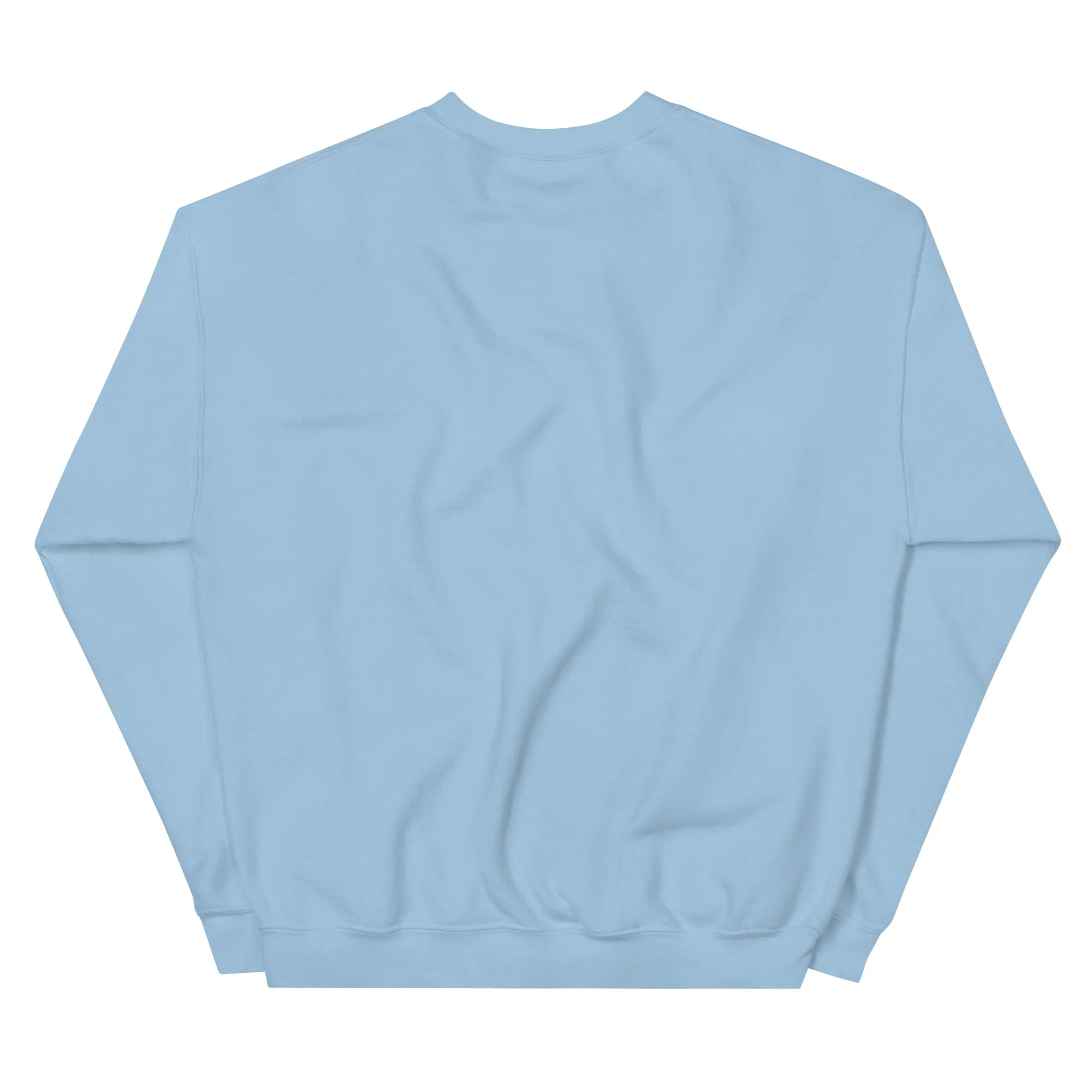 unisex-crew-neck-sweatshirt-light-blue-back-678064288ec45.jpg
