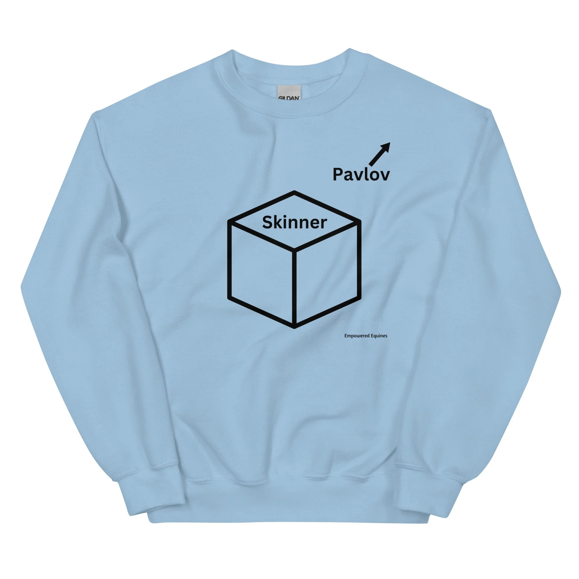unisex-crew-neck-sweatshirt-light-blue-front-678069e13612a.jpg