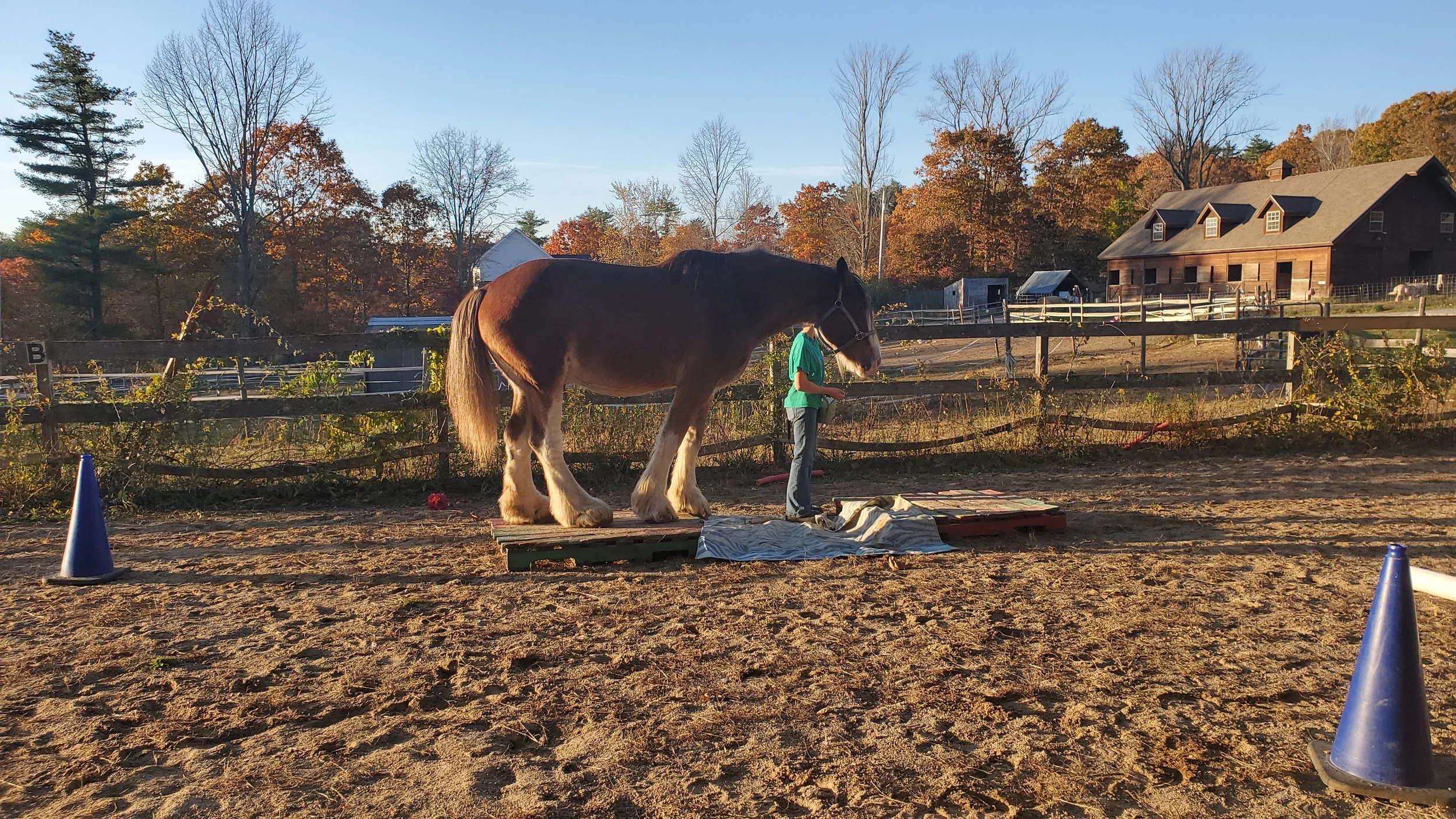 Feelings of Competence