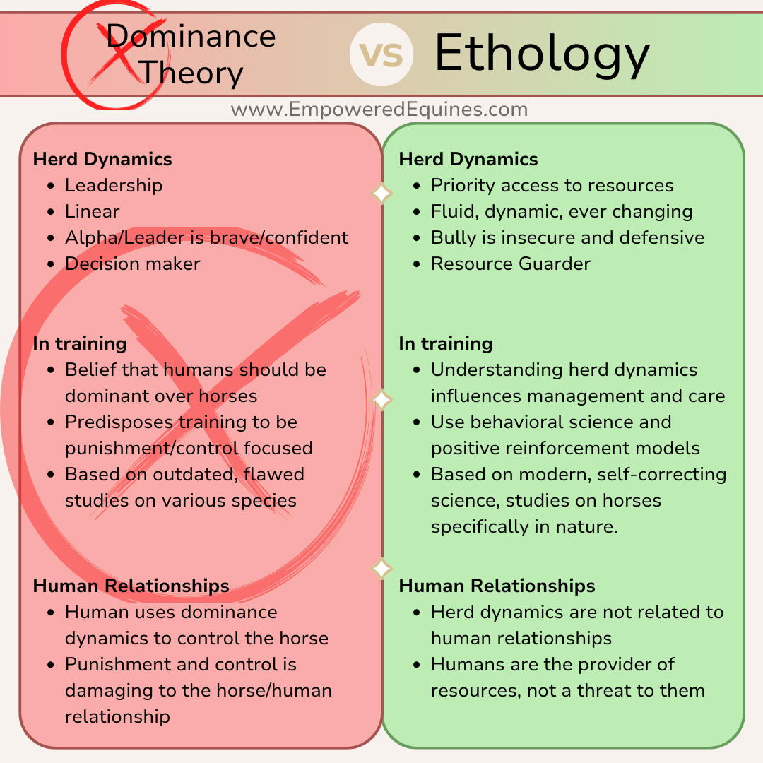 The Dominance Mistake