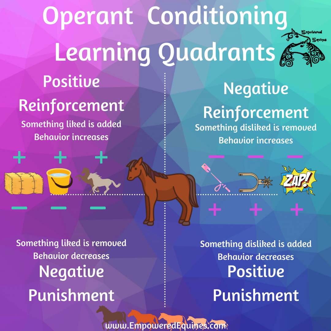 The quadrants aren’t just for trianing