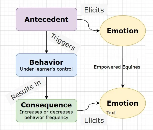 Emotions and Training