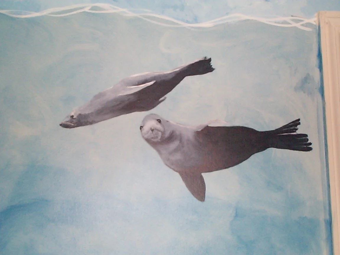 sea otters close-up, facing sea otter by me, swimming away otter by Julie (If I remember correctly)