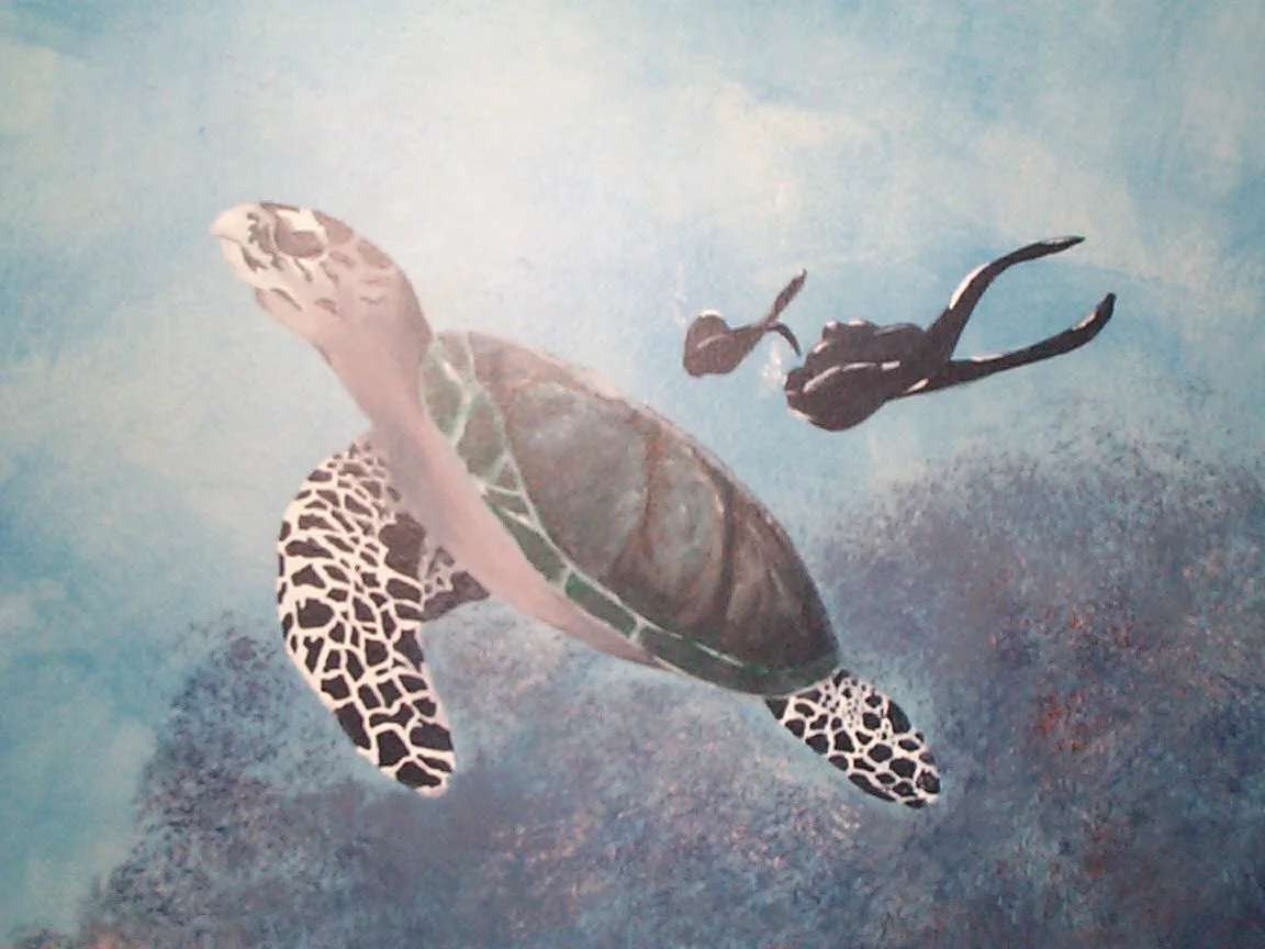 sea turtle close-up, sea turtle by me, divers by Julie