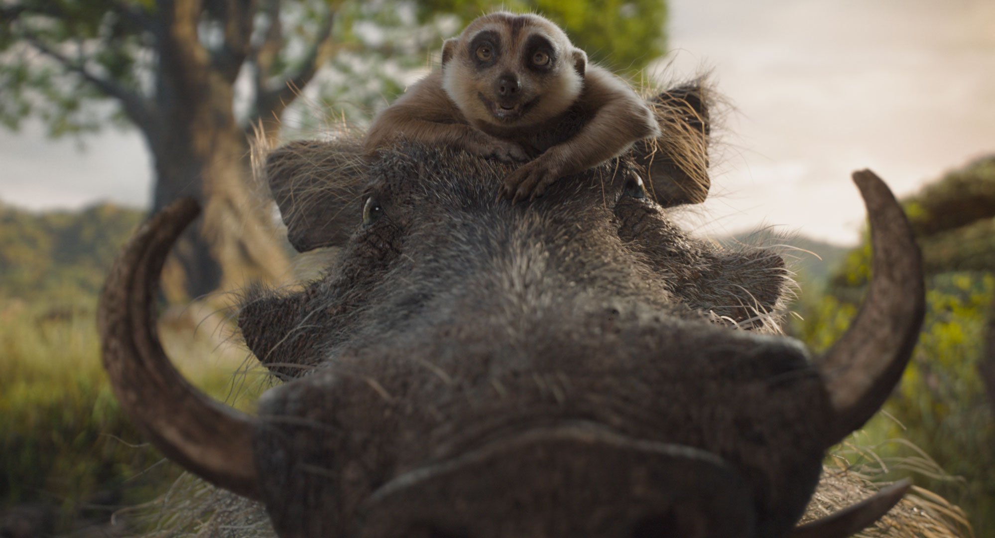 Mufasa The Lion King Pumbaa and Timon2.jpeg