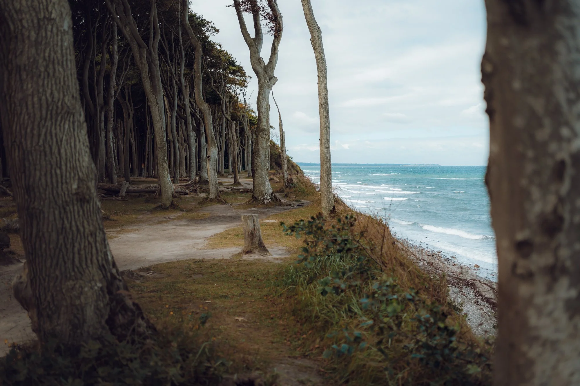 Familienshooting AUG 25-44.jpg