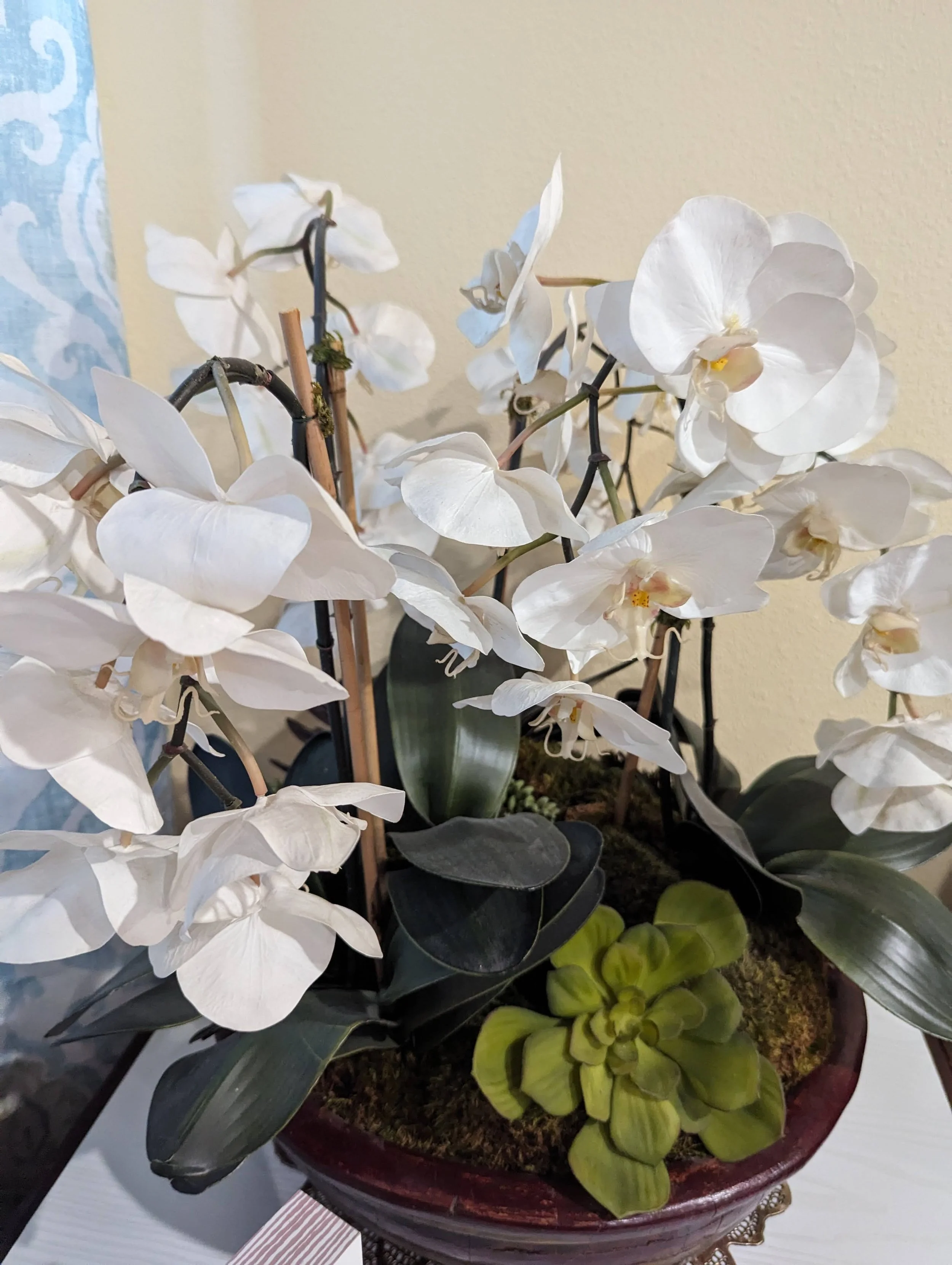 Pricing & availability — El Molino Rose Villa