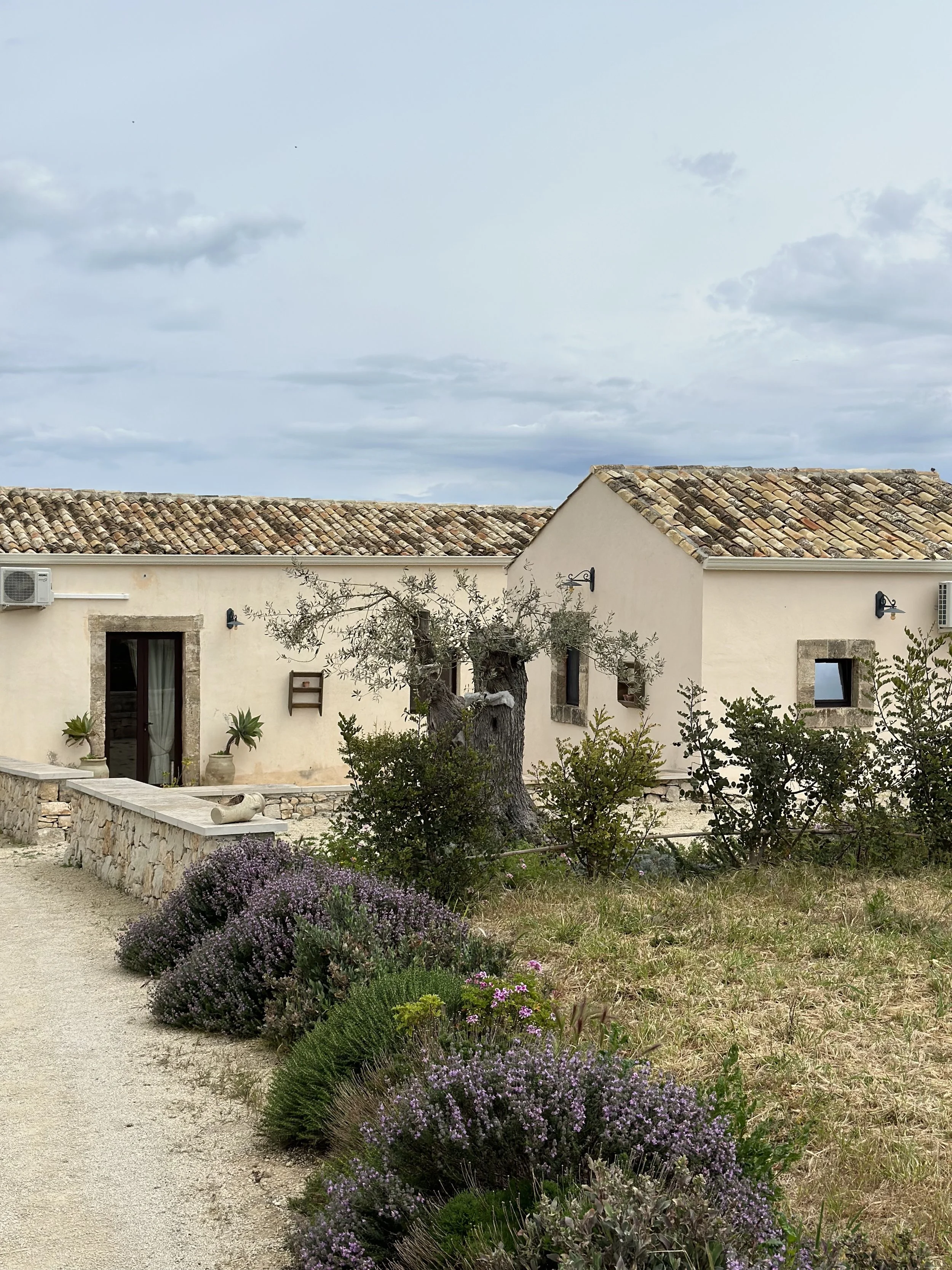 Traditional Mediterranean house with a clay tile roof, surrounded by lavender bushes, shrubs, and an old olive tree in a garden setting.