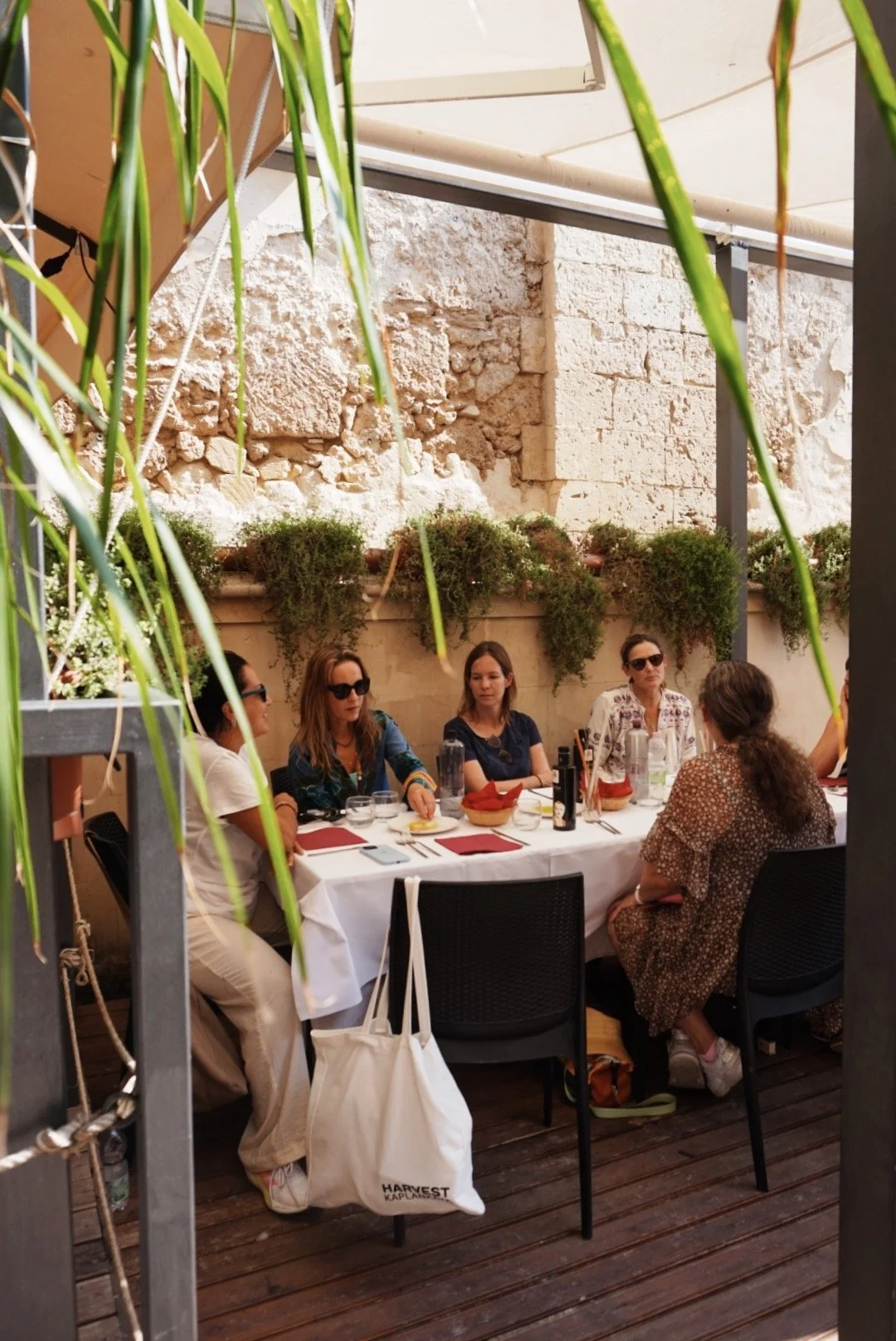 Group of people dining outdoors at a restaurant patio, sitting around a white tablecloth-covered table with menus and drinks, under a canopy and surrounded by hanging greenery.