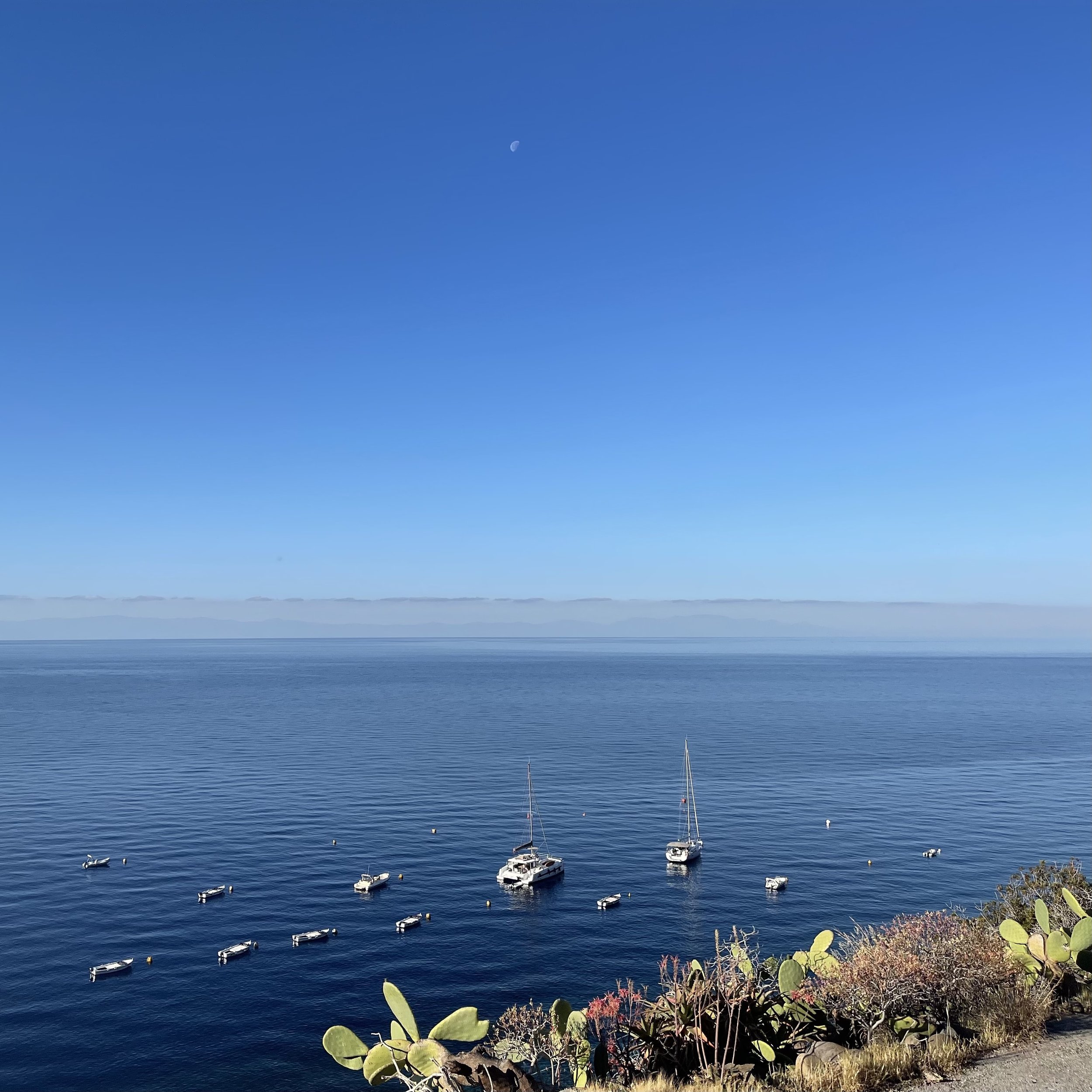 Serene ocean view with clear blue sky and moon, multiple boats anchored on the water, coastline with plants in the foreground.
