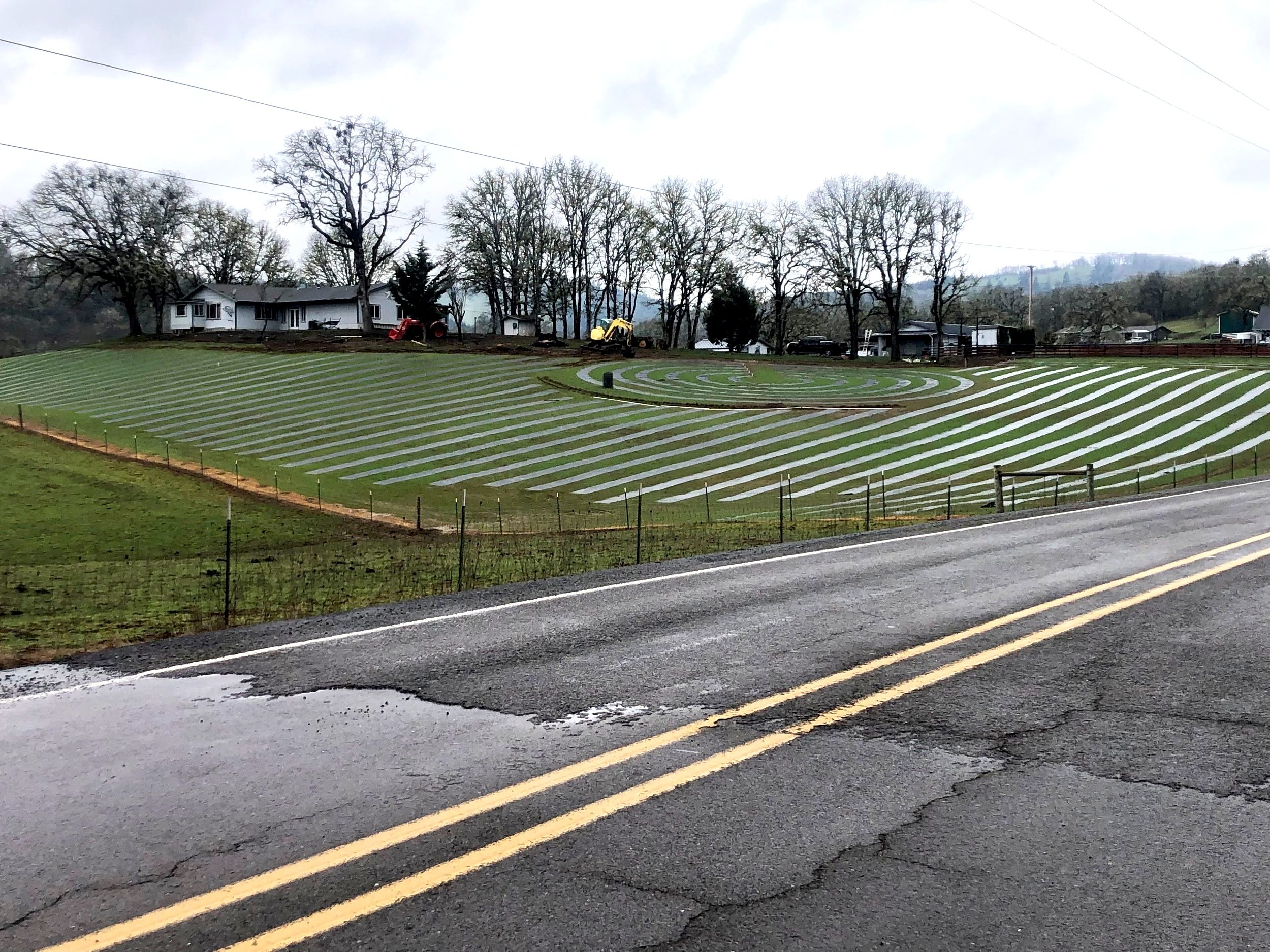 Farm View