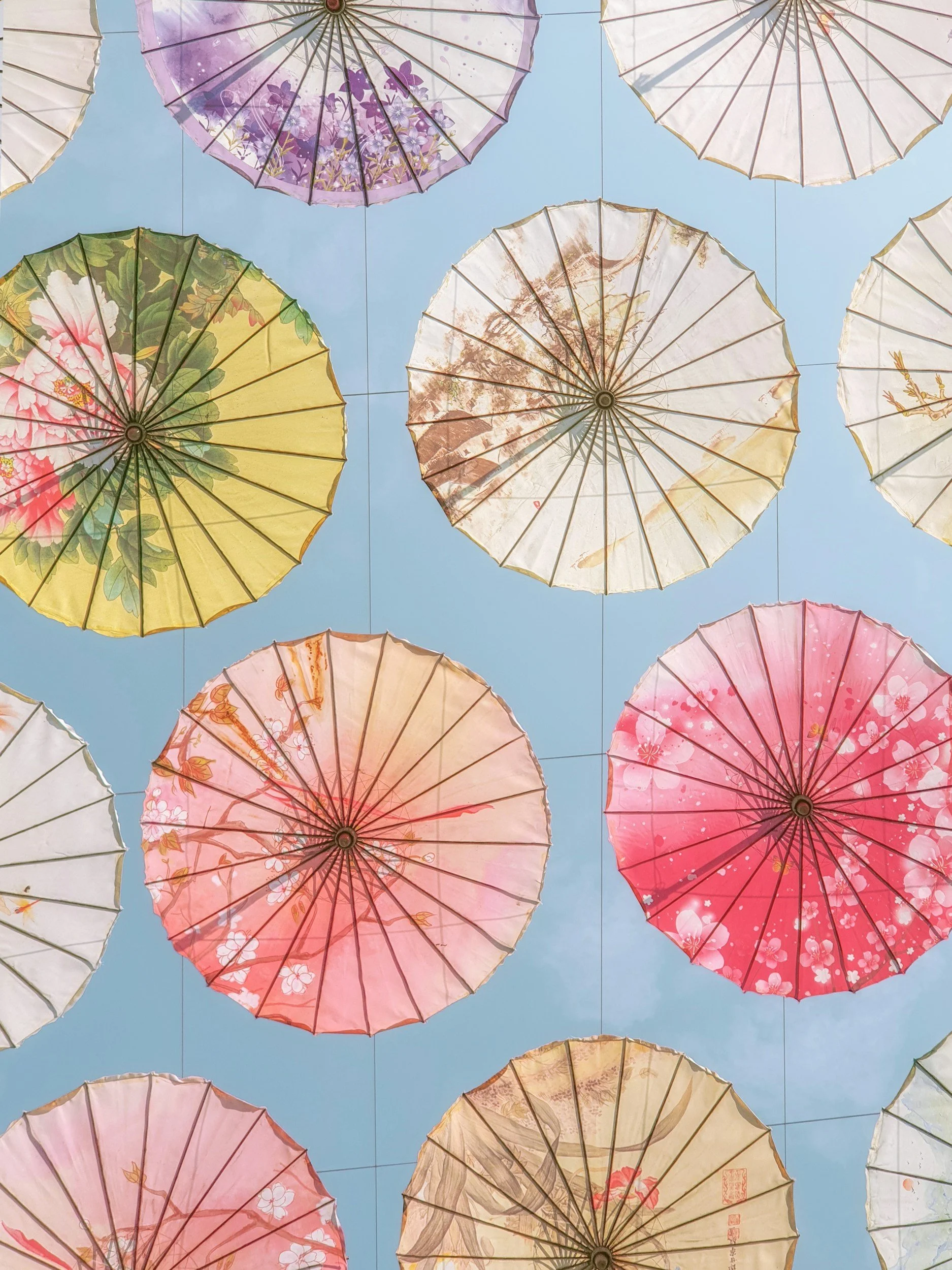 Colorful paper umbrellas with floral and nature designs hanging against a blue sky.
