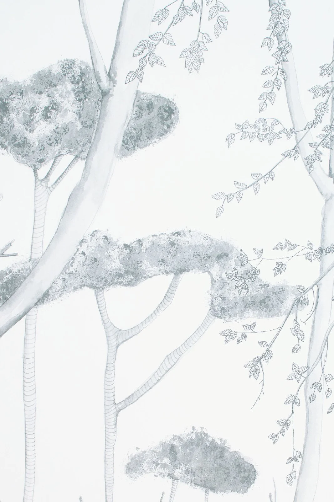 Fog